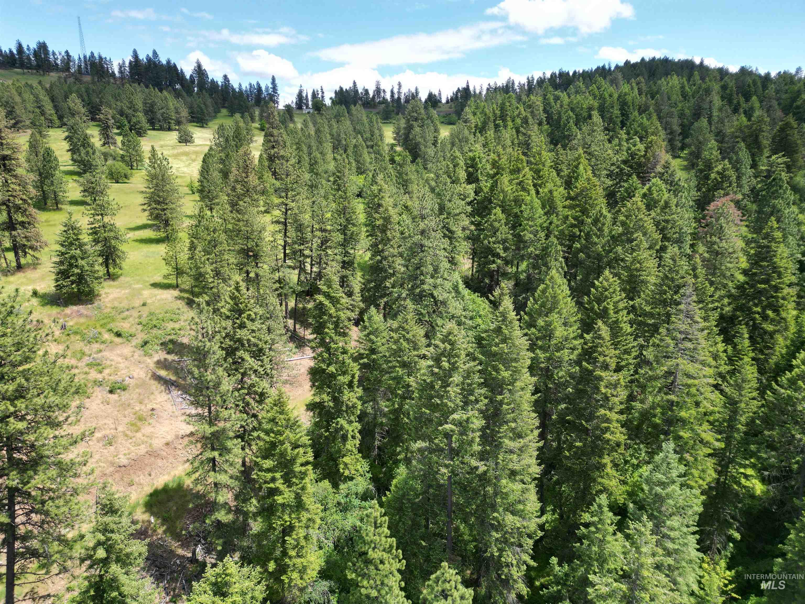 3871 Lakeview Road, Orofino, Idaho 83544, 3 Bedrooms, 2 Bathrooms, Residential For Sale, Price $650,000,MLS 99000029