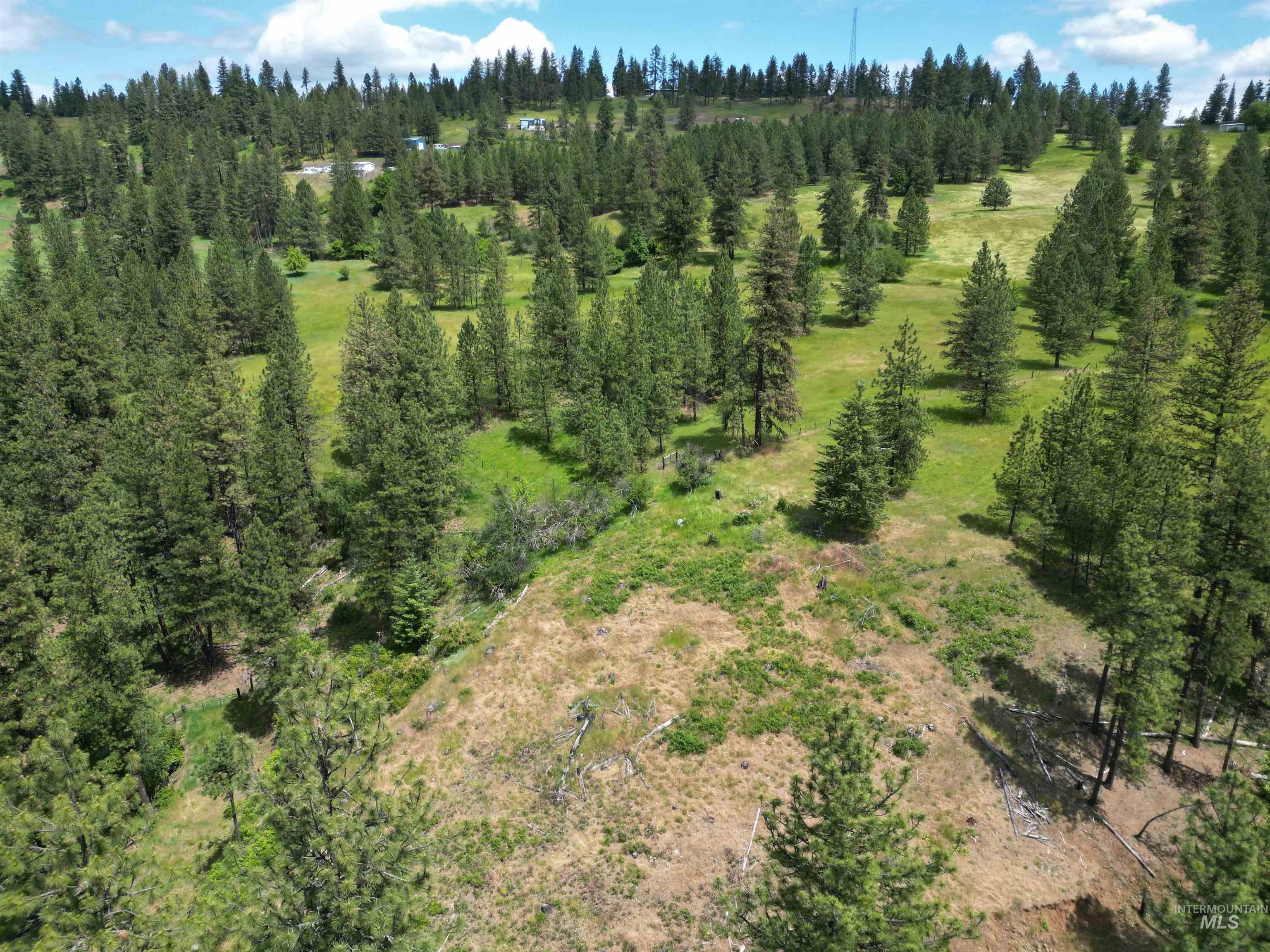 3871 Lakeview Road, Orofino, Idaho 83544, 3 Bedrooms, 2 Bathrooms, Residential For Sale, Price $650,000,MLS 99000029