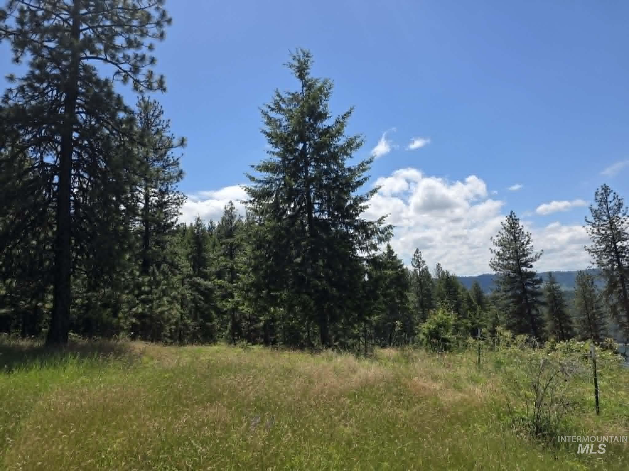 3871 Lakeview Road, Orofino, Idaho 83544, 3 Bedrooms, 2 Bathrooms, Residential For Sale, Price $650,000,MLS 99000029