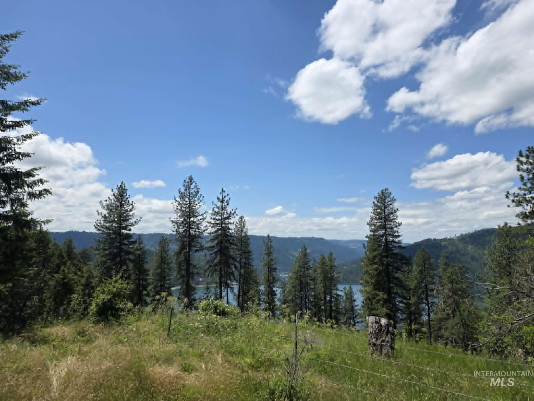3871 Lakeview Road, Orofino, Idaho 83544, 3 Bedrooms, 2 Bathrooms, Residential For Sale, Price $650,000,MLS 99000029