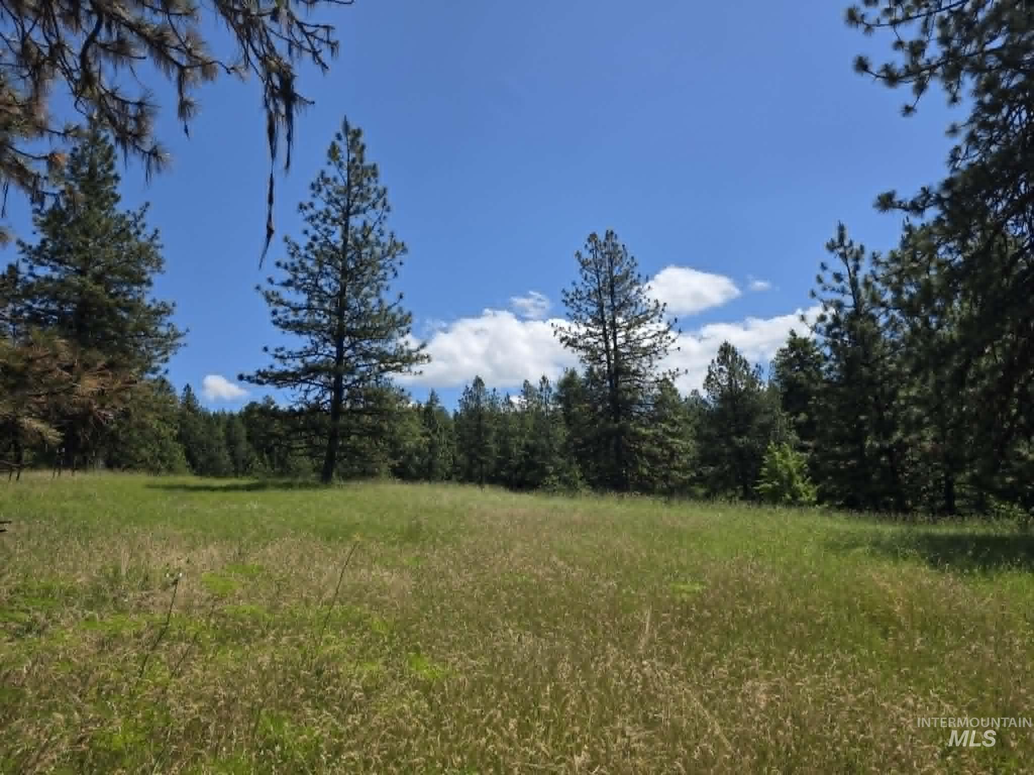 3871 Lakeview Road, Orofino, Idaho 83544, 3 Bedrooms, 2 Bathrooms, Residential For Sale, Price $650,000,MLS 99000029