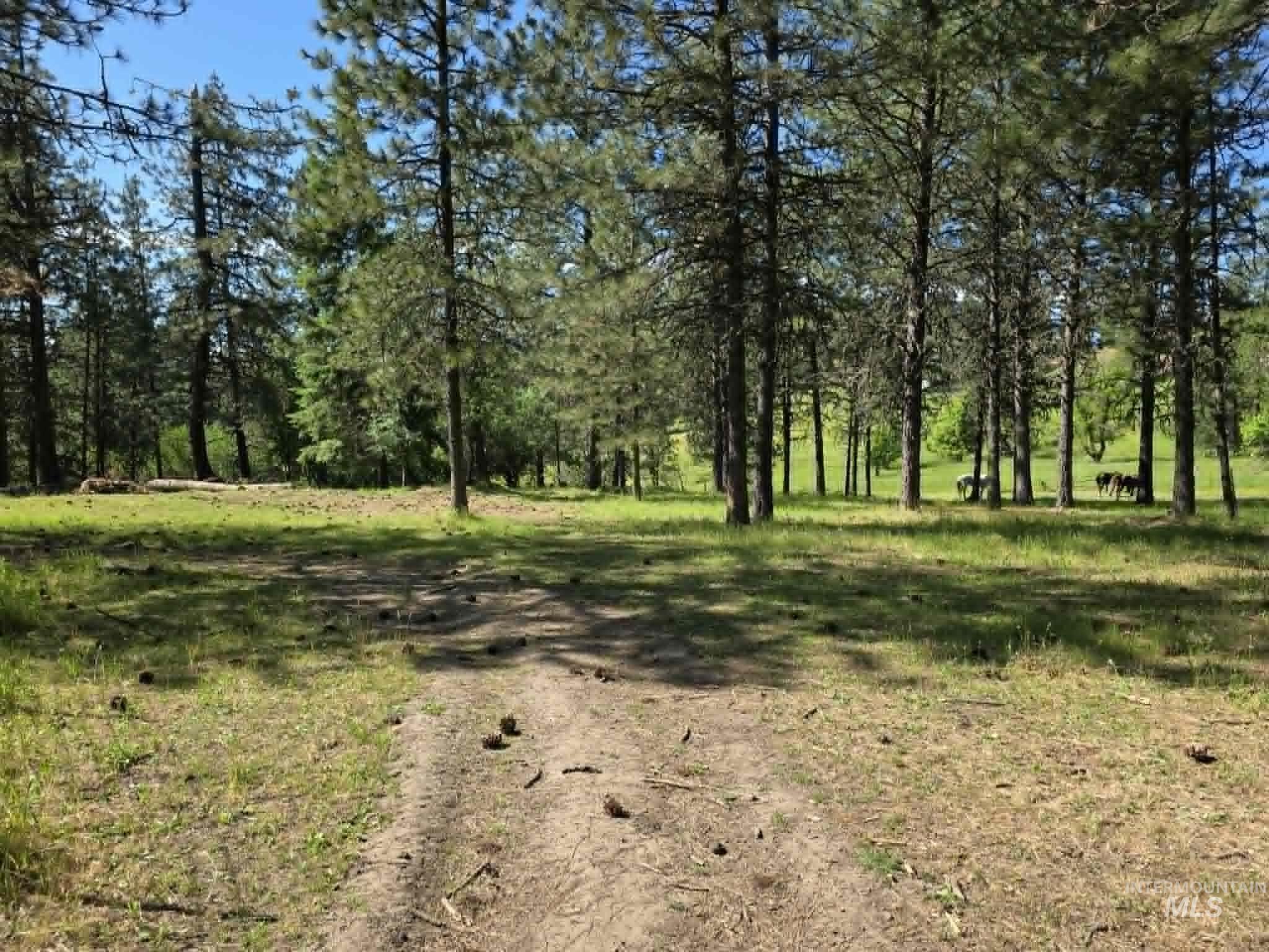 3871 Lakeview Road, Orofino, Idaho 83544, 3 Bedrooms, 2 Bathrooms, Residential For Sale, Price $650,000,MLS 99000029