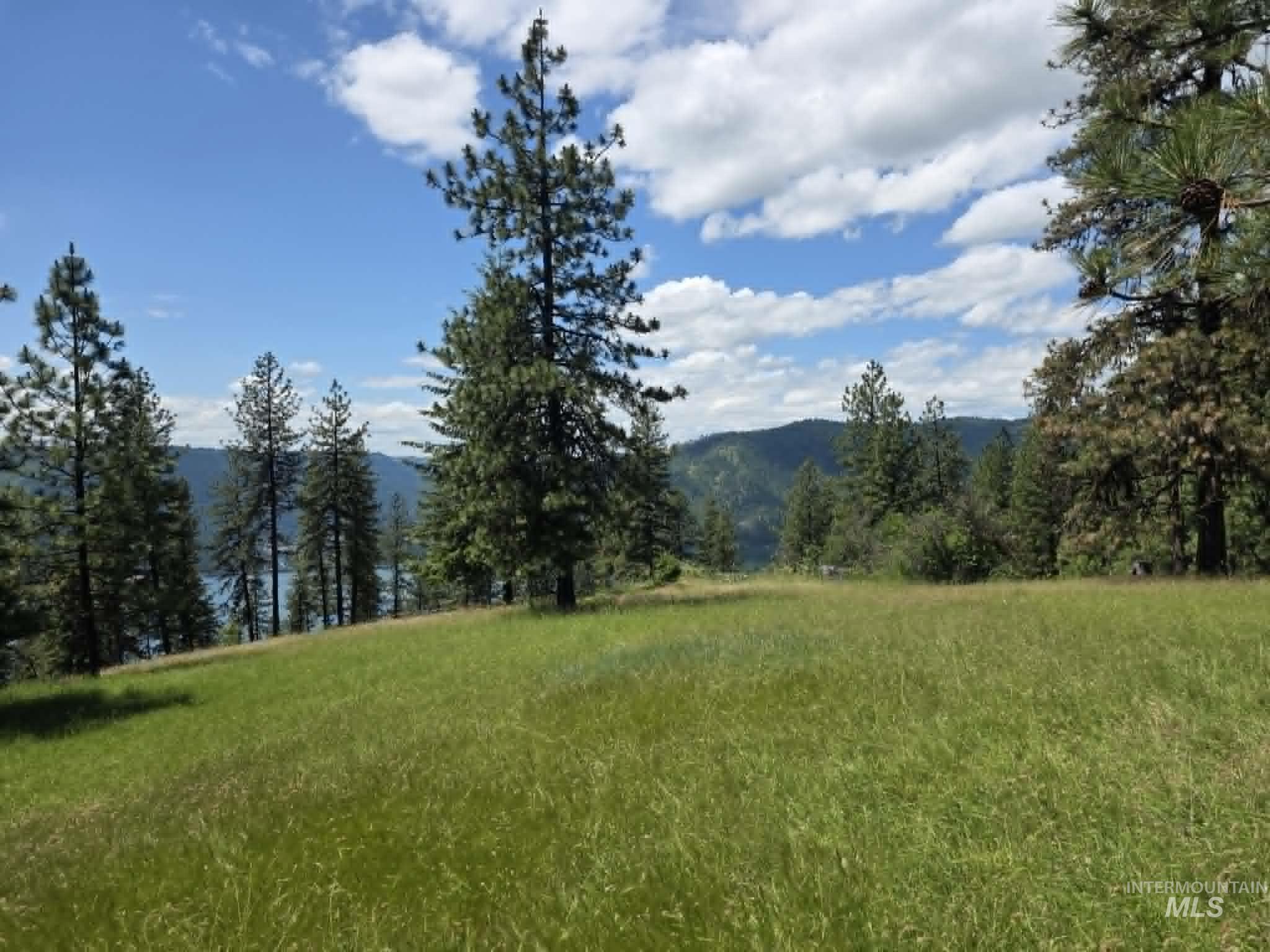 3871 Lakeview Road, Orofino, Idaho 83544, 3 Bedrooms, 2 Bathrooms, Residential For Sale, Price $650,000,MLS 99000029