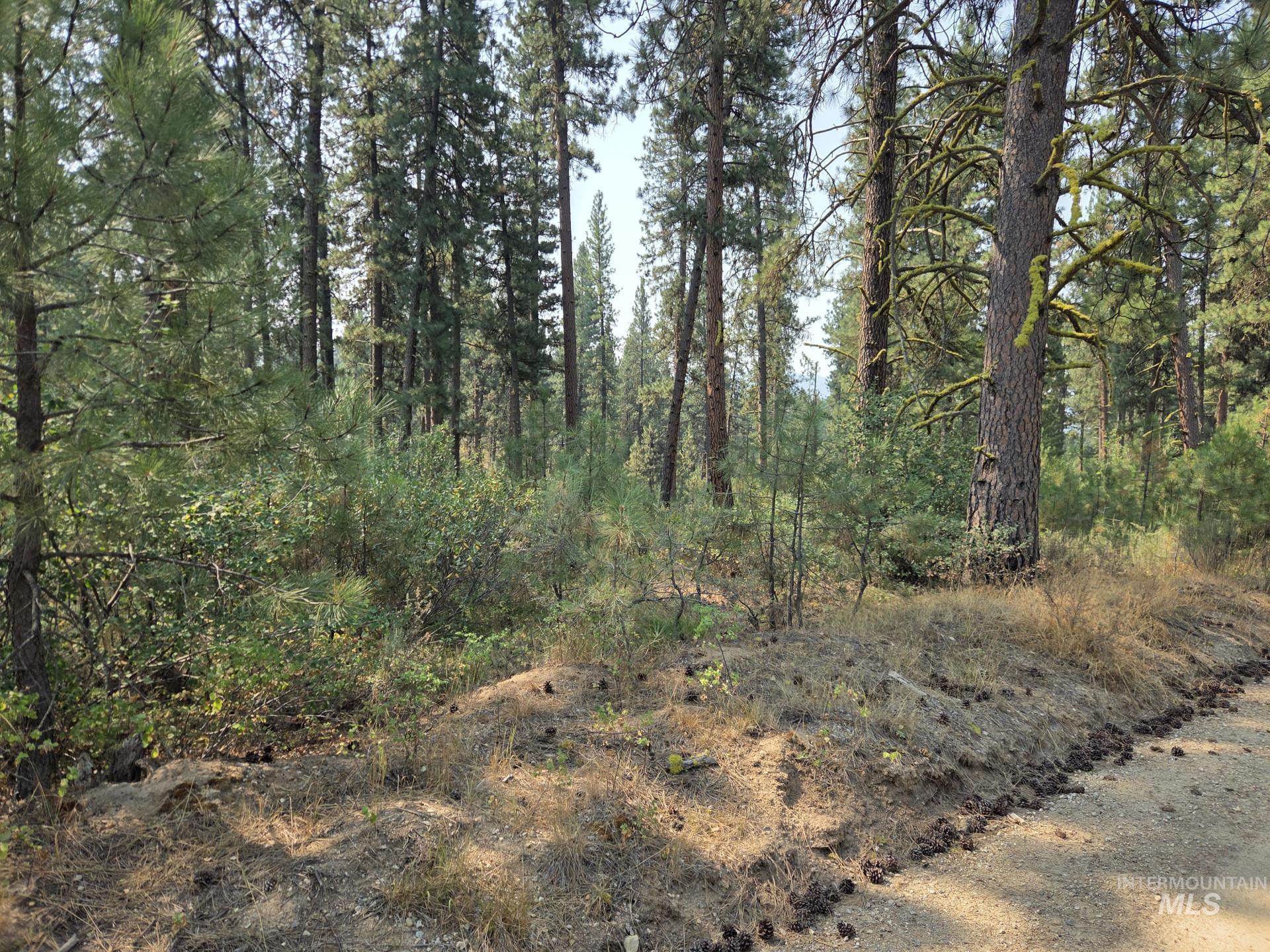 0 Lot 18 Block 16 of Duquette Pines Division, Idaho City, Idaho 83631, Land For Sale, Price $156,000, 99000077