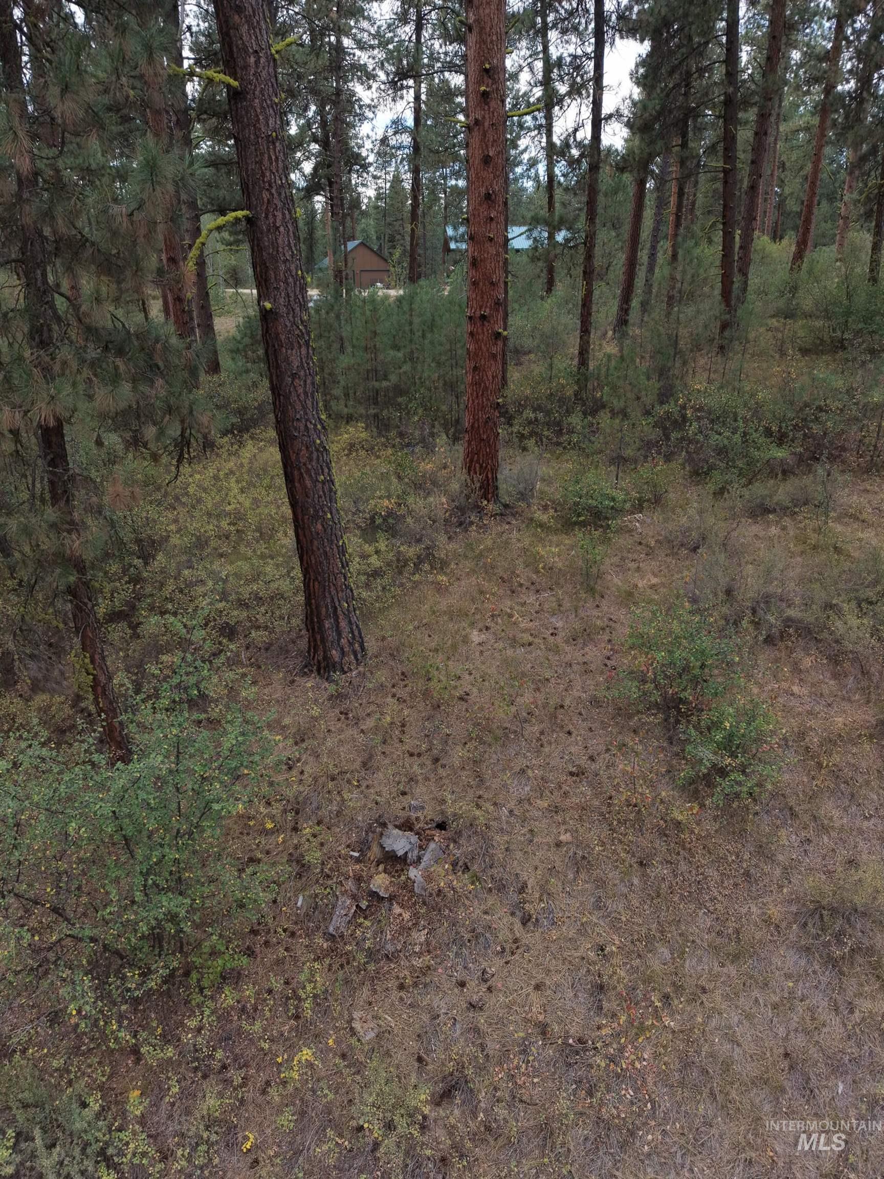 0 Lot 18 Block 16 of Duquette Pines Division, Idaho City, Idaho 83631, Land For Sale, Price $156,000, 99000077