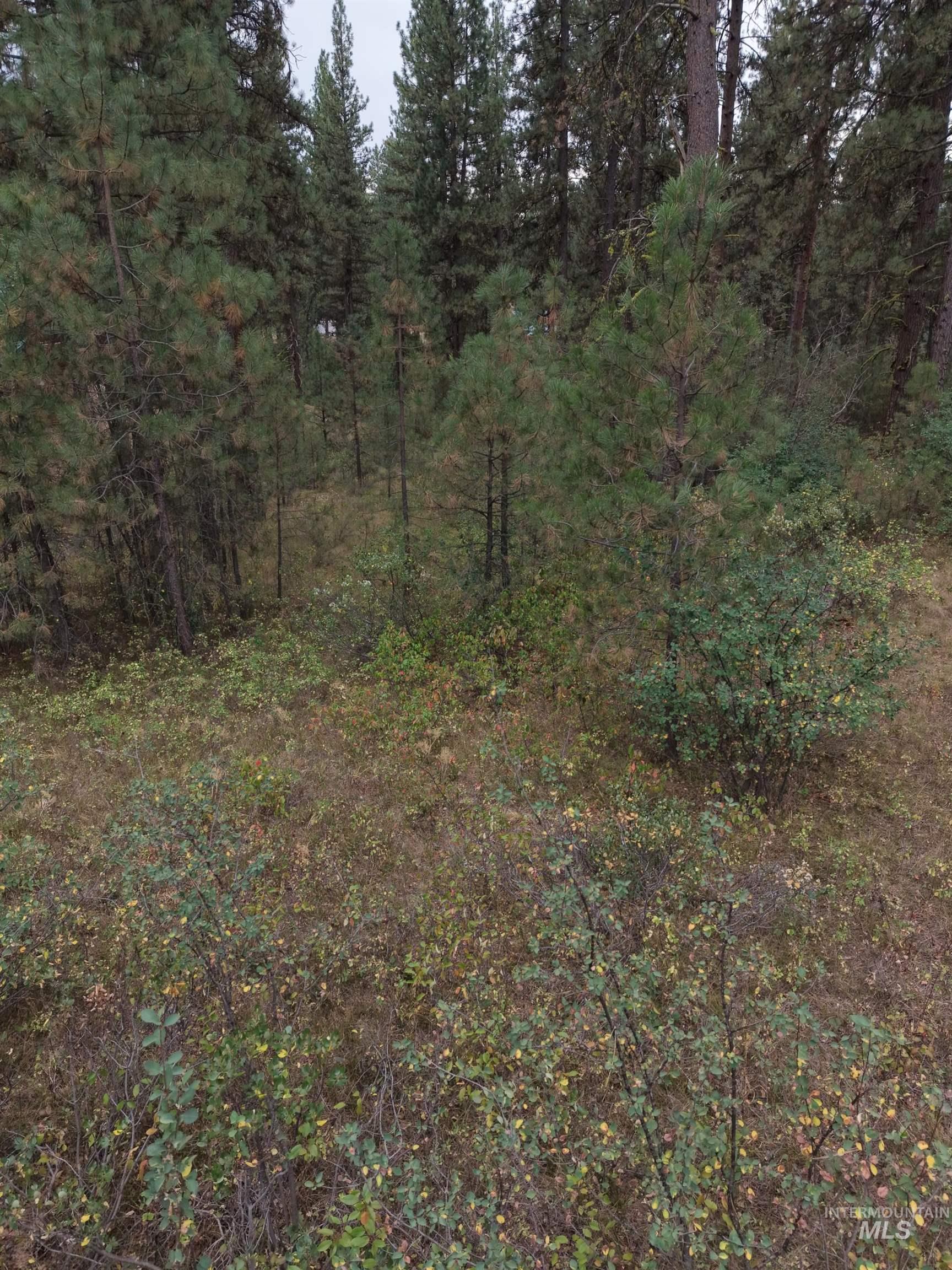 0 Lot 18 Block 16 of Duquette Pines Division, Idaho City, Idaho 83631, Land For Sale, Price $156,000, 99000077