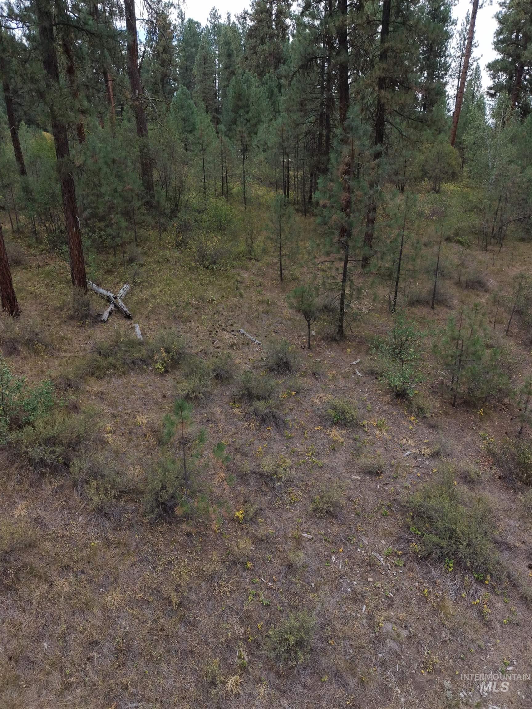 0 Lot 18 Block 16 of Duquette Pines Division, Idaho City, Idaho 83631, Land For Sale, Price $156,000, 99000077