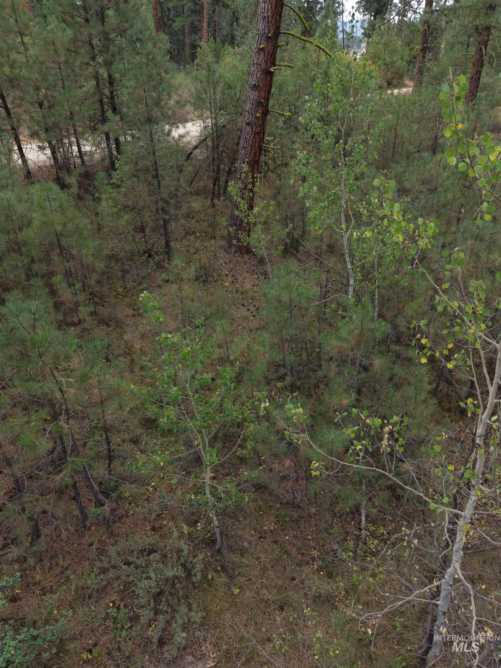 0 Lot 18 Block 16 of Duquette Pines Division, Idaho City, Idaho 83631, Land For Sale, Price $156,000, 99000077