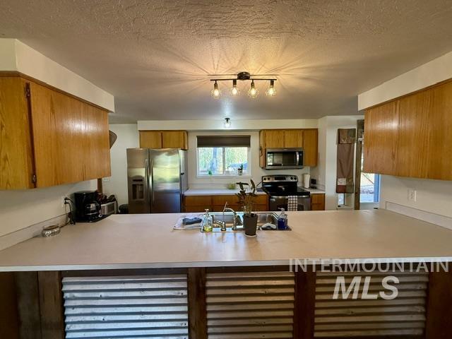 11230 N River Road, Payette, Idaho 83661, 3 Bedrooms, 2 Bathrooms, Residential For Sale, Price $715,000,MLS 99000101