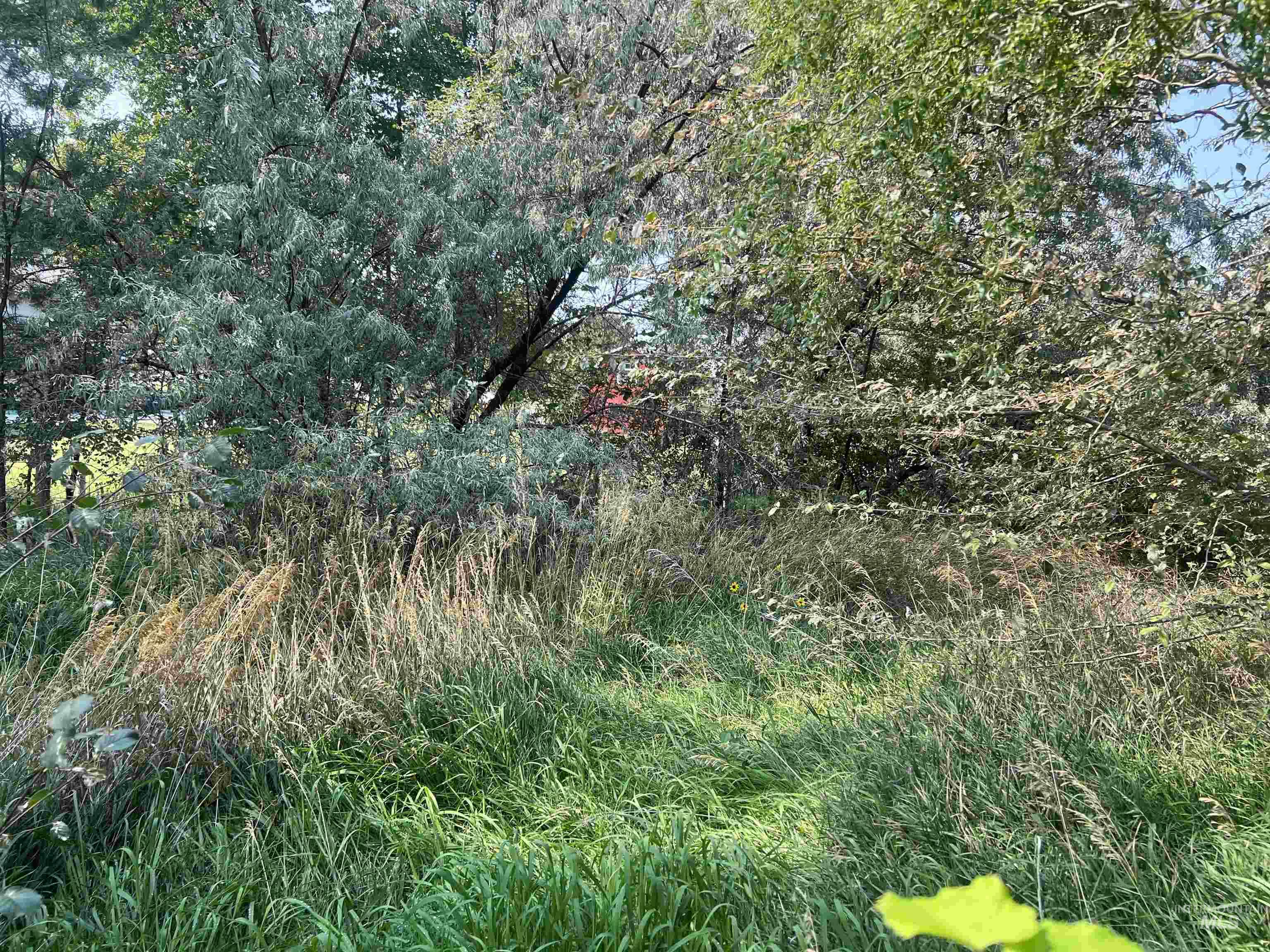 919 & 921 S. Fir, Jerome, Idaho 83338, 2 Bedrooms, 2 Bathrooms, Residential For Sale, Price $349,900, 99000135