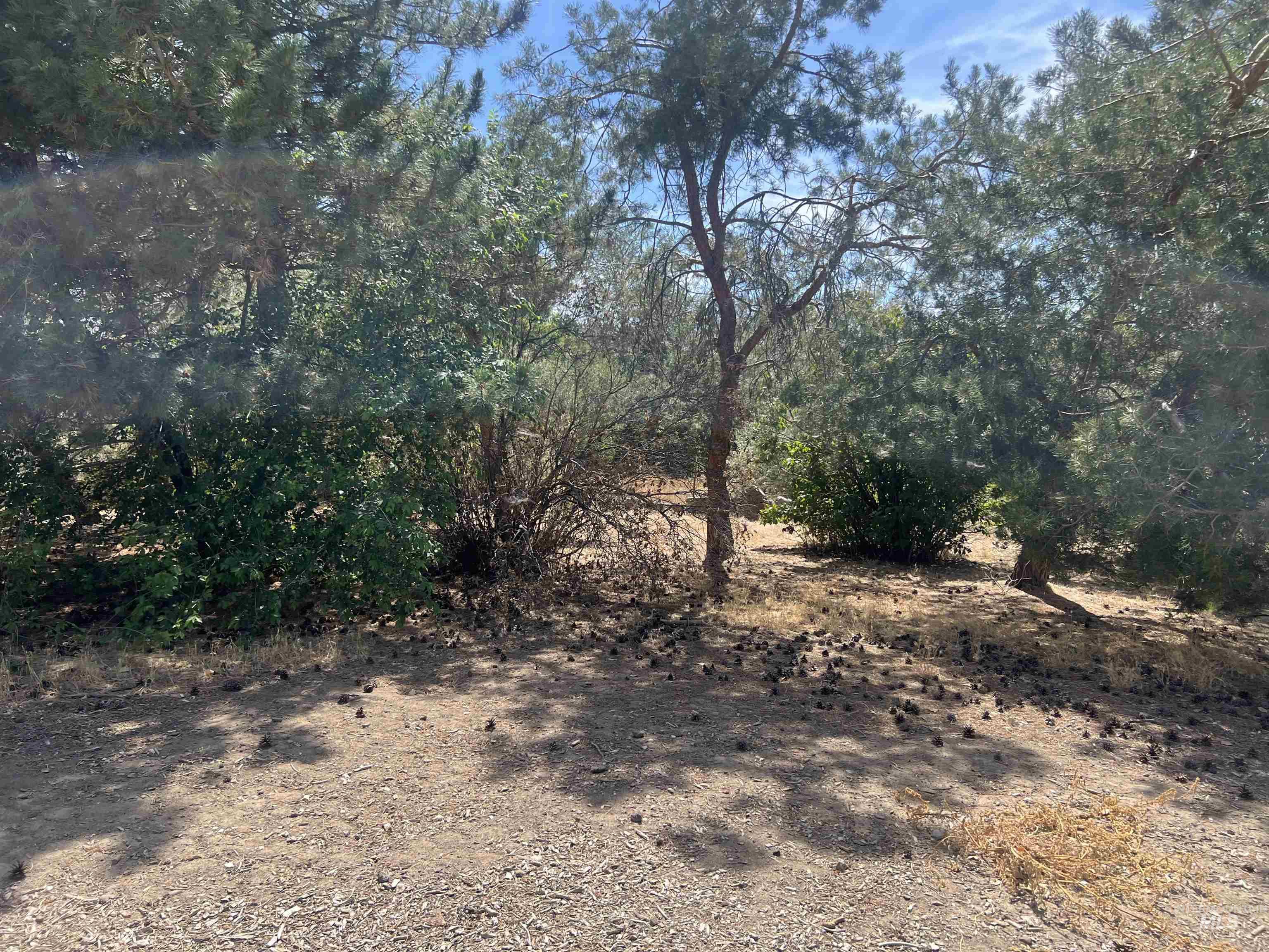919 & 921 S. Fir, Jerome, Idaho 83338, 2 Bedrooms, 2 Bathrooms, Residential For Sale, Price $349,900, 99000135