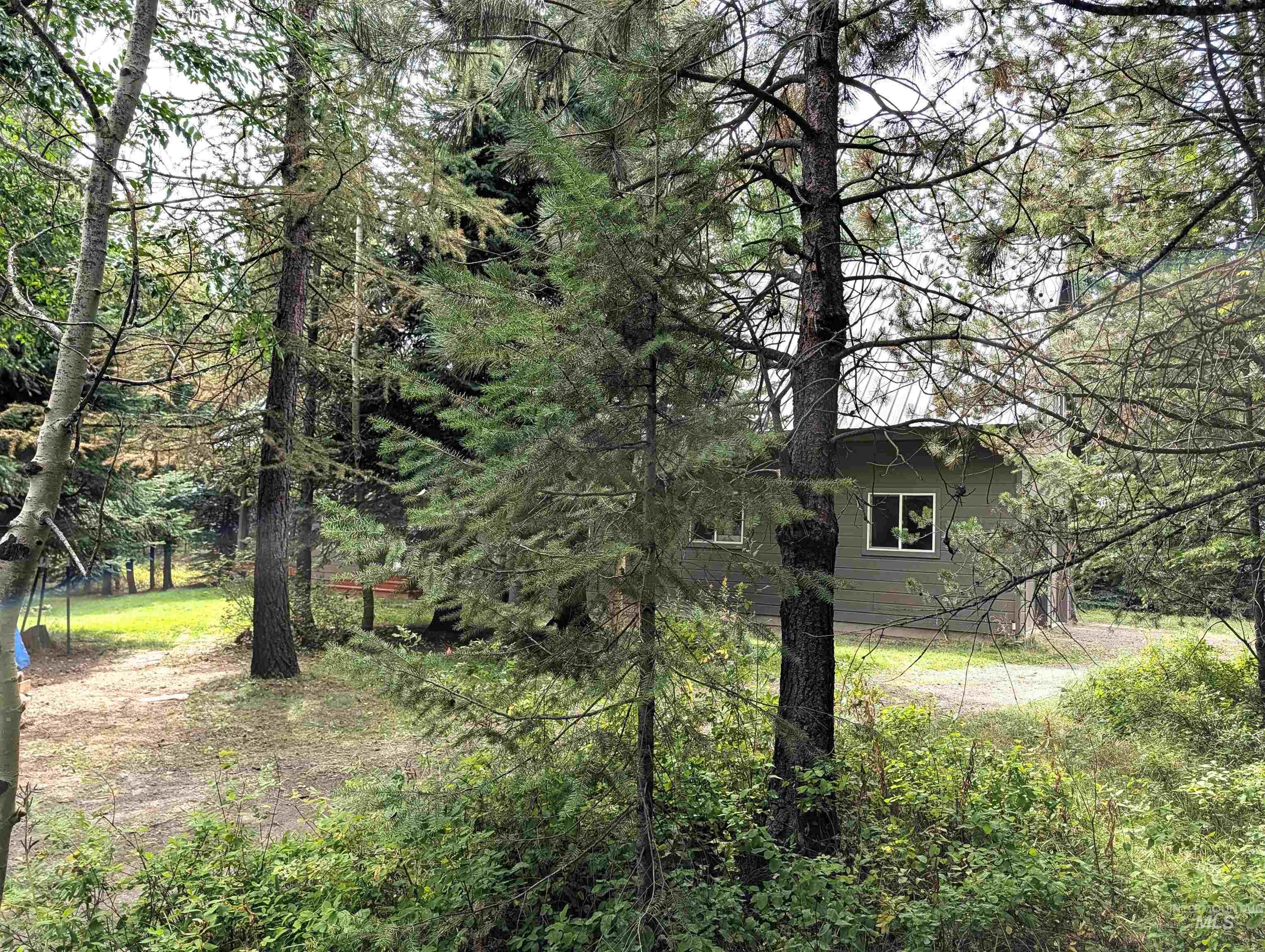 81 & 83 Lake Forest Circle, Donnelly, Idaho 83615, 3 Bedrooms, 2 Bathrooms, Residential For Sale, Price $399,000,MLS 99000148