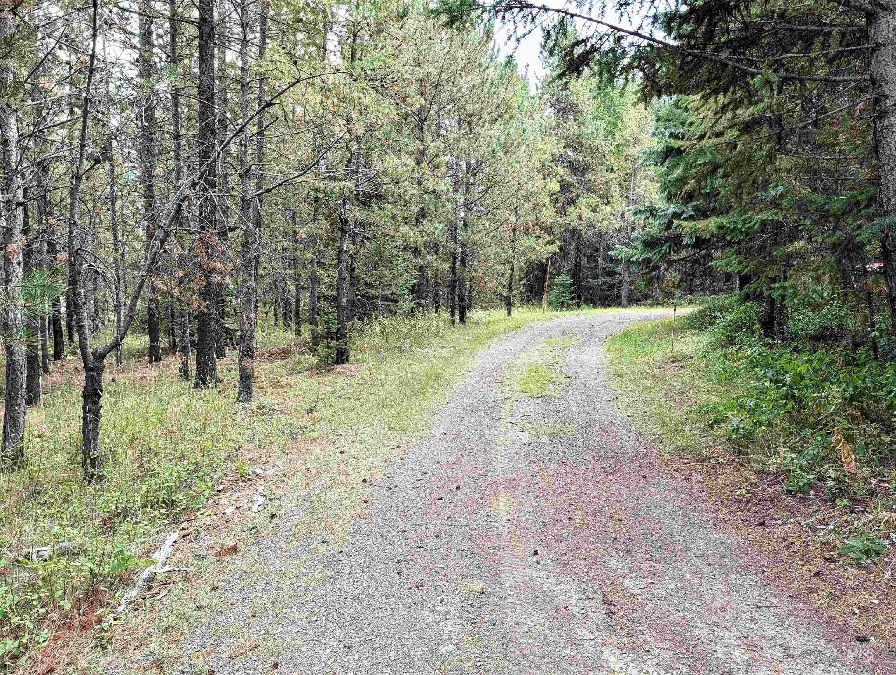 81 & 83 Lake Forest Circle, Donnelly, Idaho 83615, 3 Bedrooms, 2 Bathrooms, Residential For Sale, Price $399,000,MLS 99000148