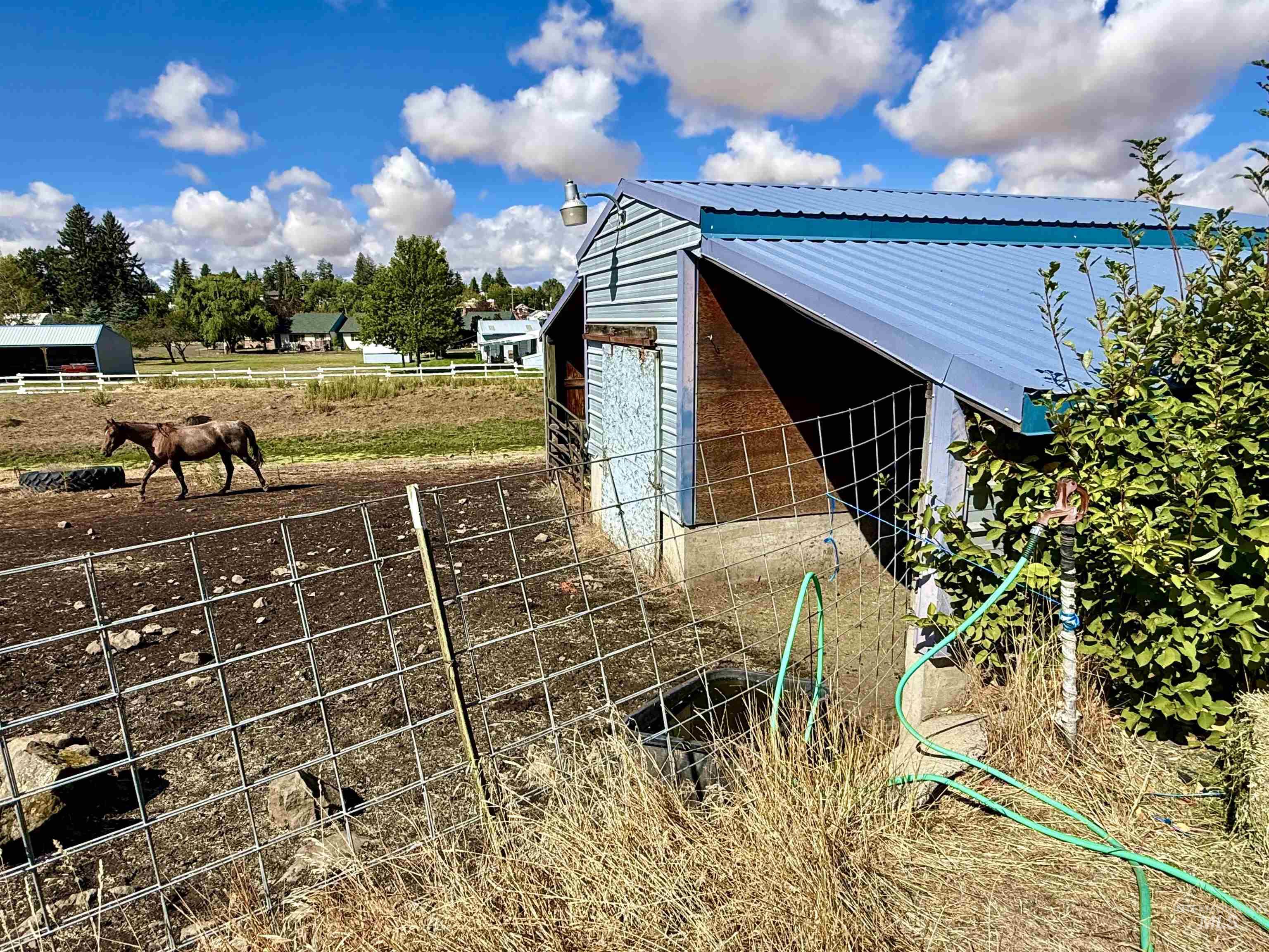 311 5th Ave, Nezperce, Idaho 83543, Land For Sale, Price $129,000, 99000152
