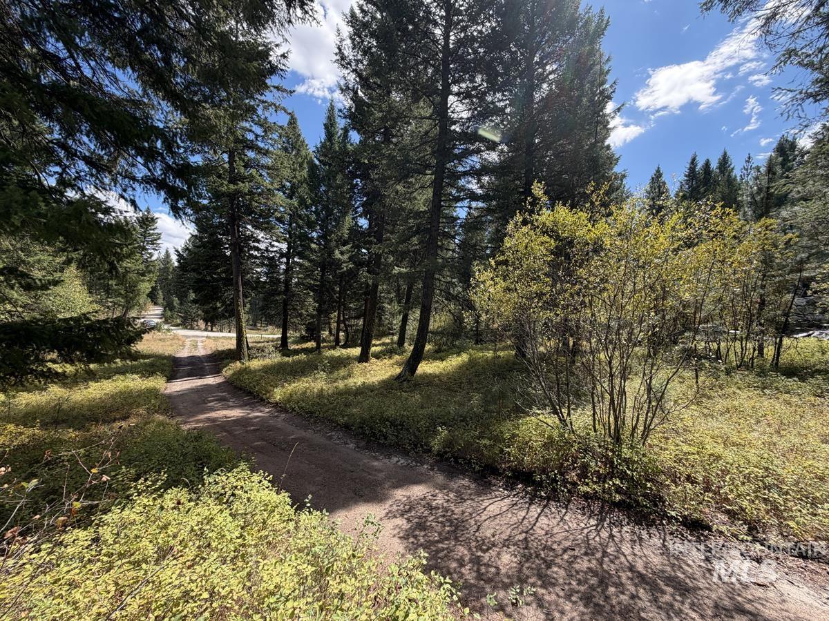 48 Rehn Loop, Cascade, Idaho 83611, Land For Sale, Price $310,000,MLS 99000229