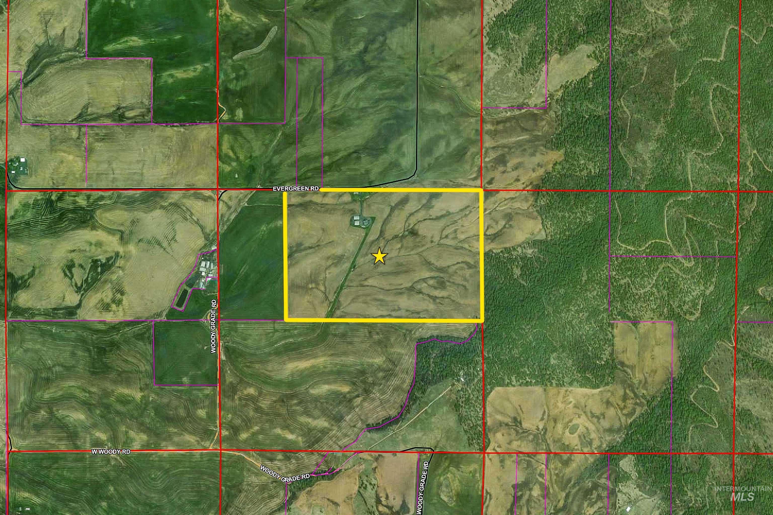 1140 Evergreen Rd., De Smet, Idaho 83824, 3 Bedrooms, 4 Bathrooms, Residential For Sale, Price $8,250,000, 99000378