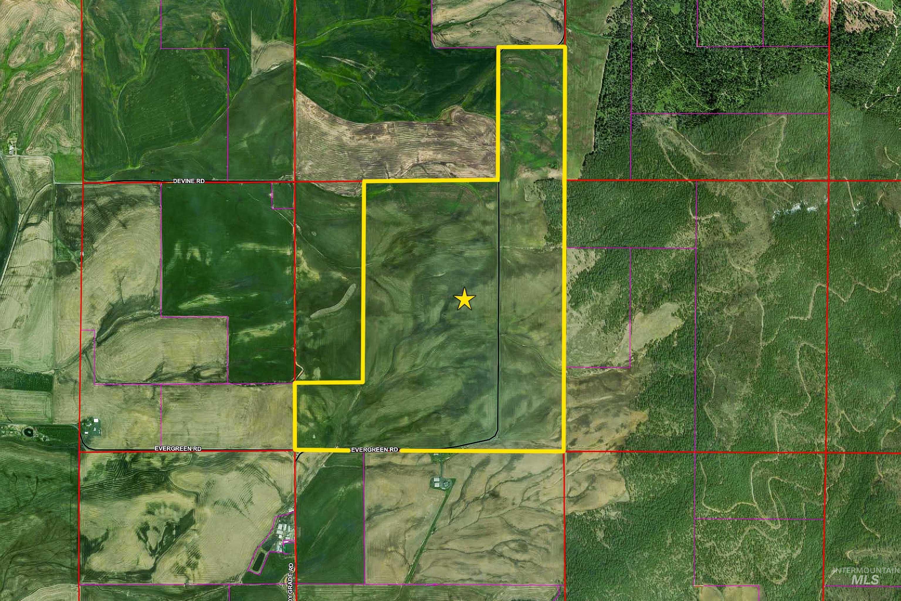 1140 Evergreen Rd., De Smet, Idaho 83824, 3 Bedrooms, 4 Bathrooms, Residential For Sale, Price $8,250,000, 99000378