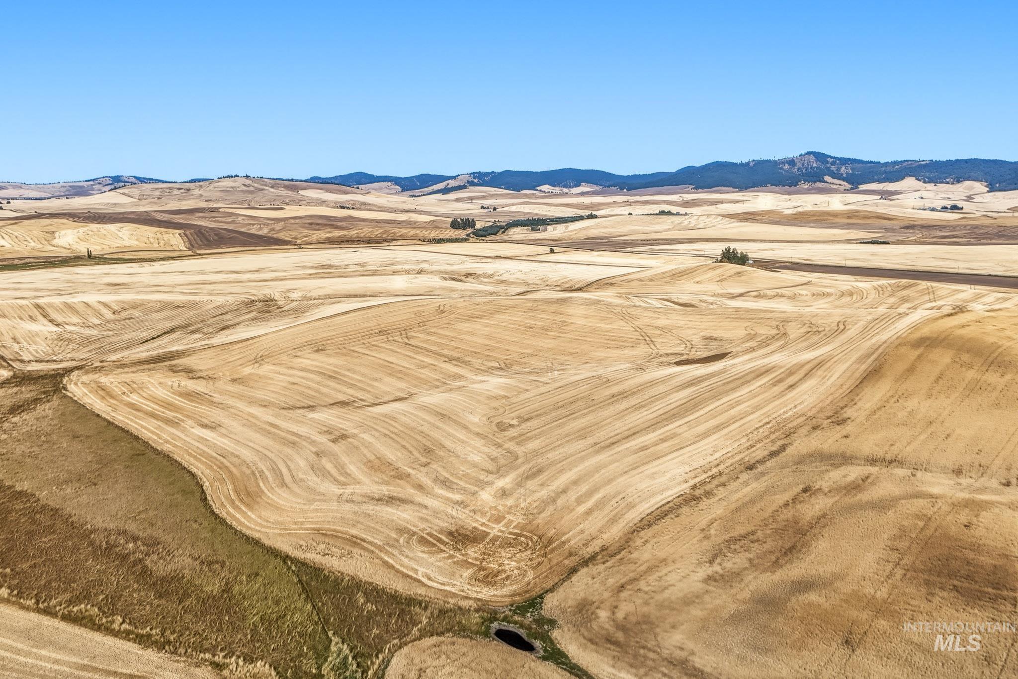 1140 Evergreen Rd., De Smet, Idaho 83824, 3 Bedrooms, 4 Bathrooms, Residential For Sale, Price $8,250,000, 99000378