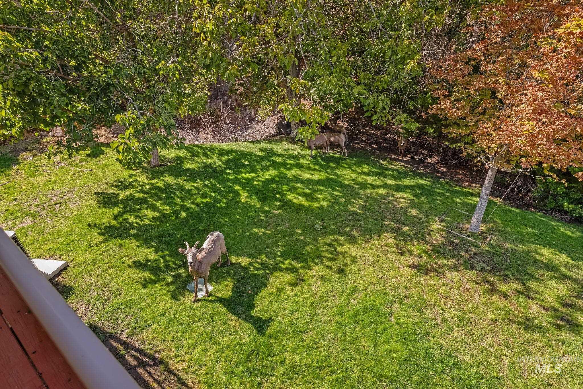 37896 Snake River Rd, Asotin, Washington 99402, 3 Bedrooms, 2.5 Bathrooms, Residential For Sale, Price $869,000,MLS 99000398