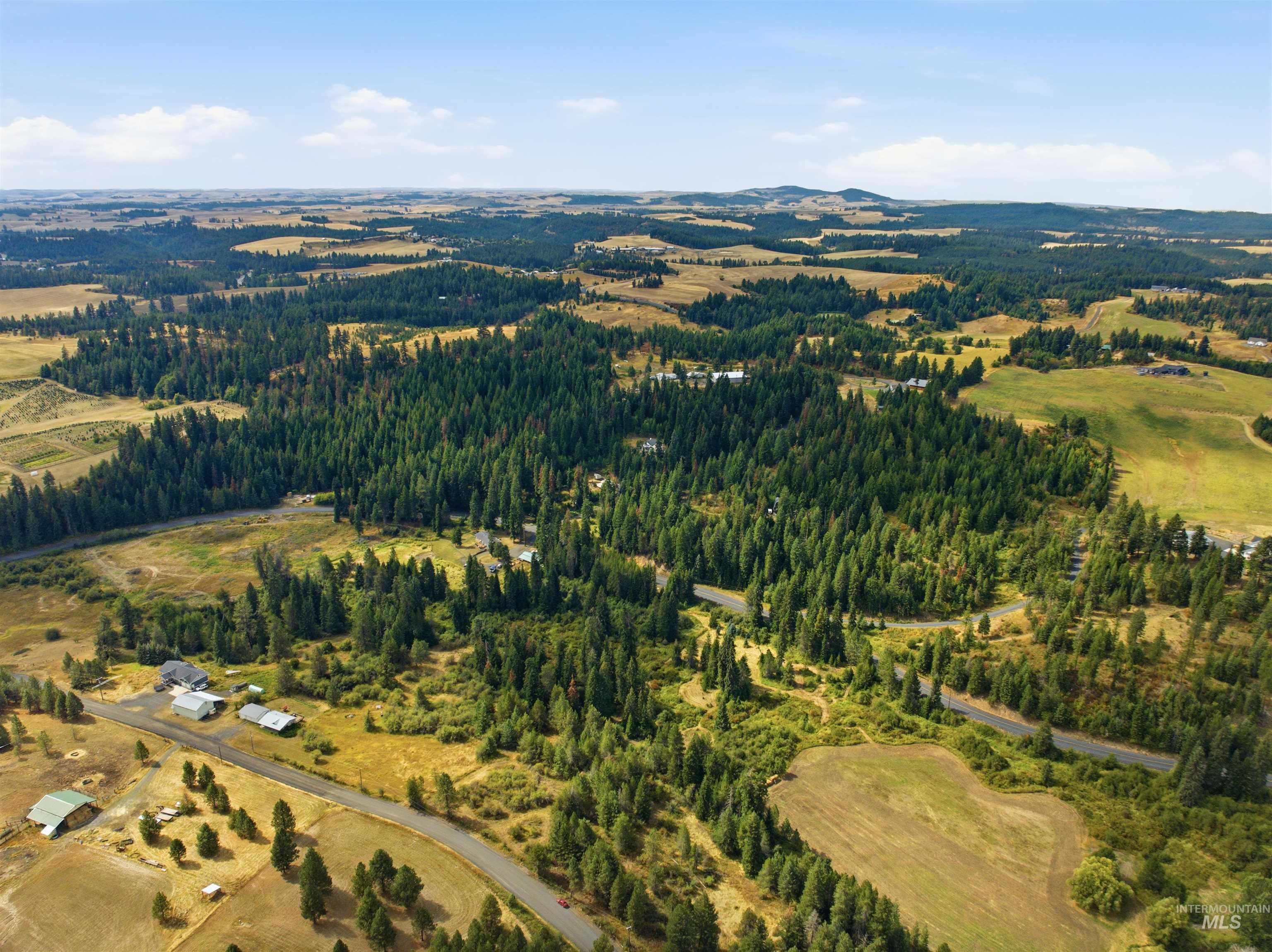 TBD Claypit, Troy, Idaho 83871, Land For Sale, Price $279,000,MLS 99000565