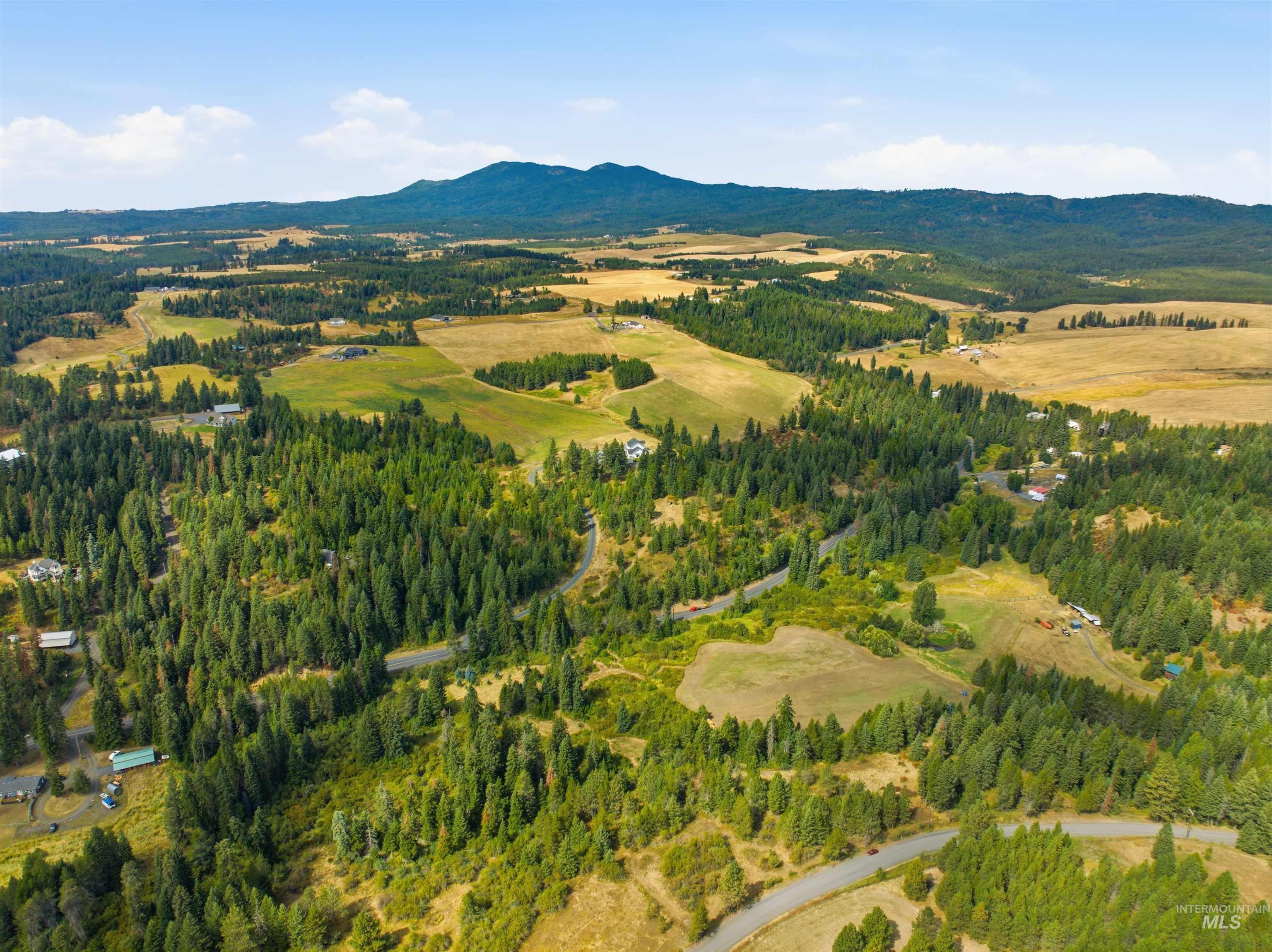 TBD Claypit, Troy, Idaho 83871, Land For Sale, Price $279,000,MLS 99000565