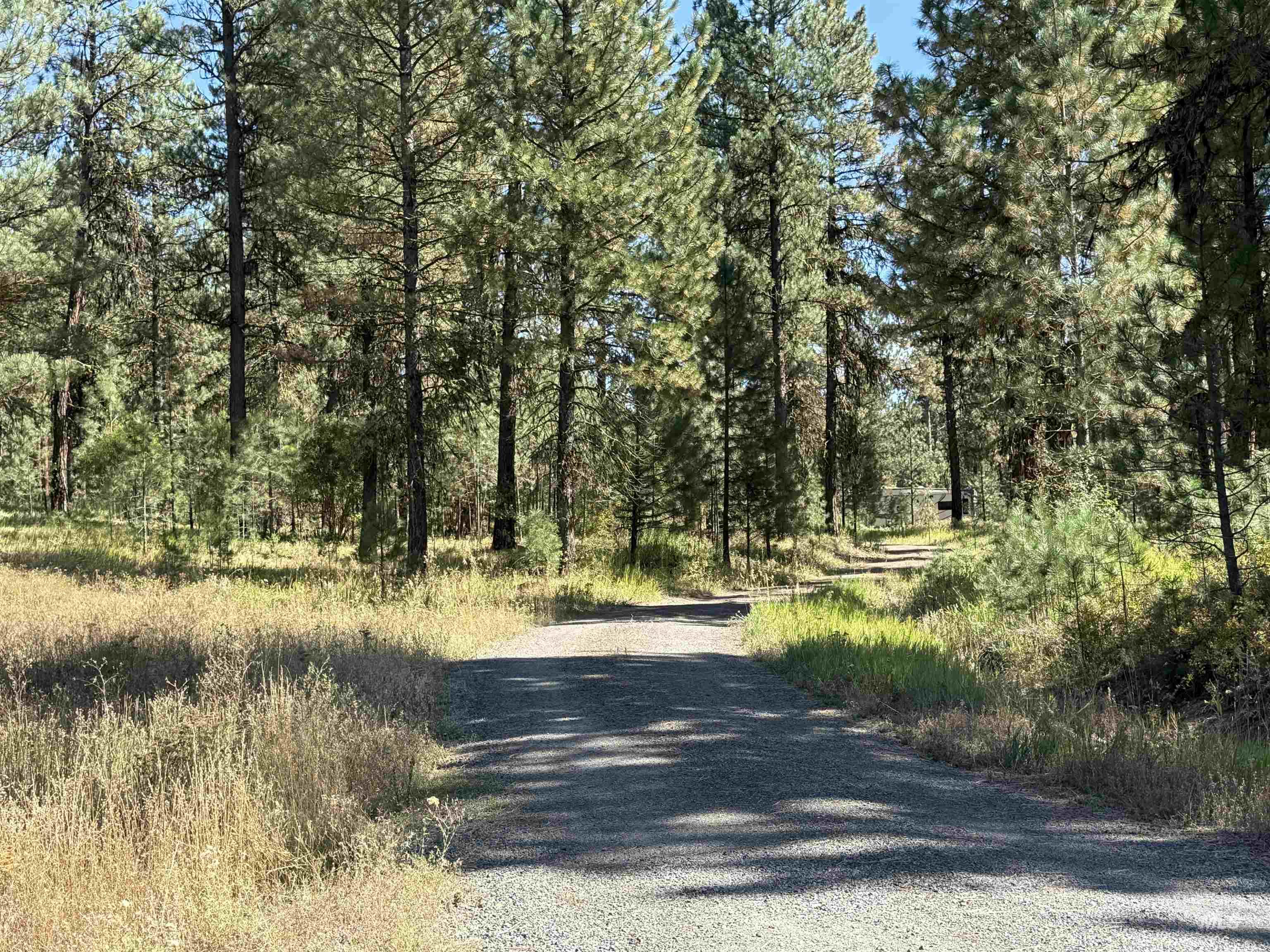 TBD Timber Ridge Drive, New Meadows, Idaho 83654, Land For Sale, Price $349,900,MLS 99000708