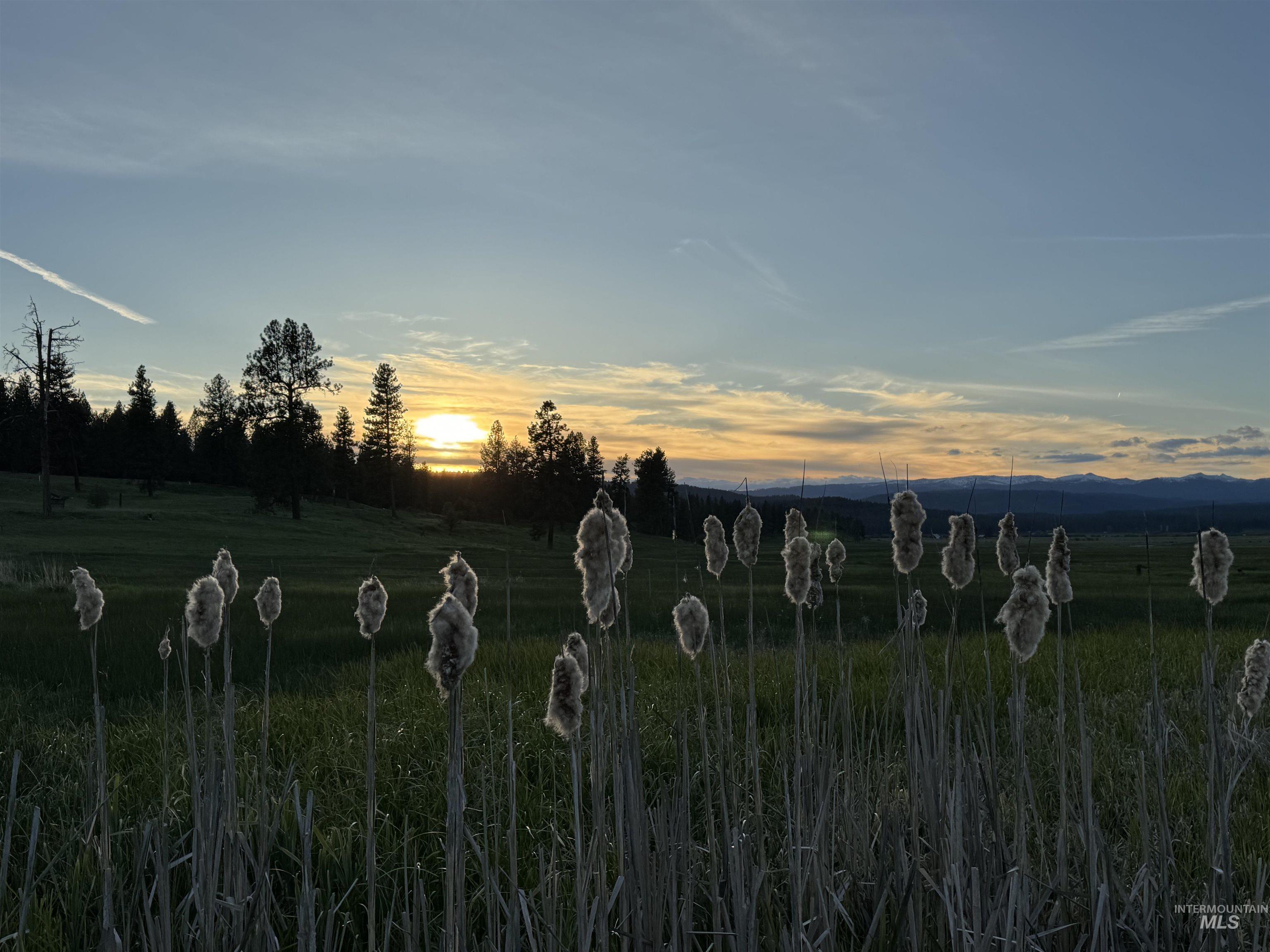 3177 Timber Ridge Drive, New Meadows, Idaho 83654, Land For Sale, Price $349,900,MLS 99000708