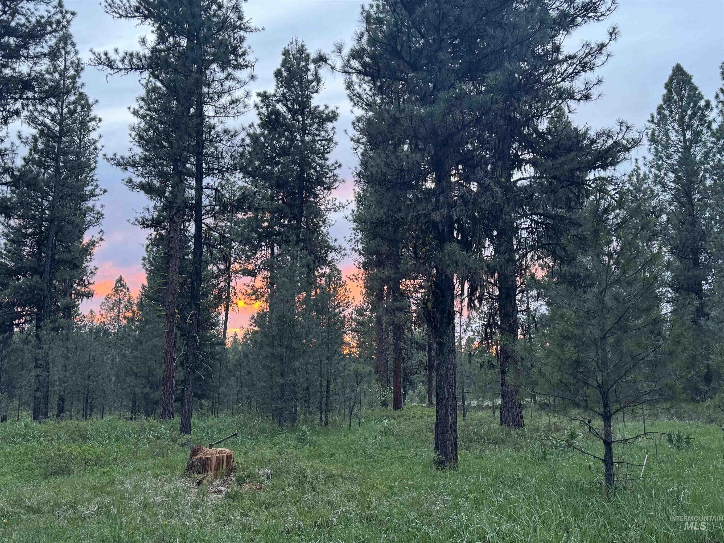 3177 Timber Ridge Drive, New Meadows, Idaho 83654, Land For Sale, Price $349,900,MLS 99000708