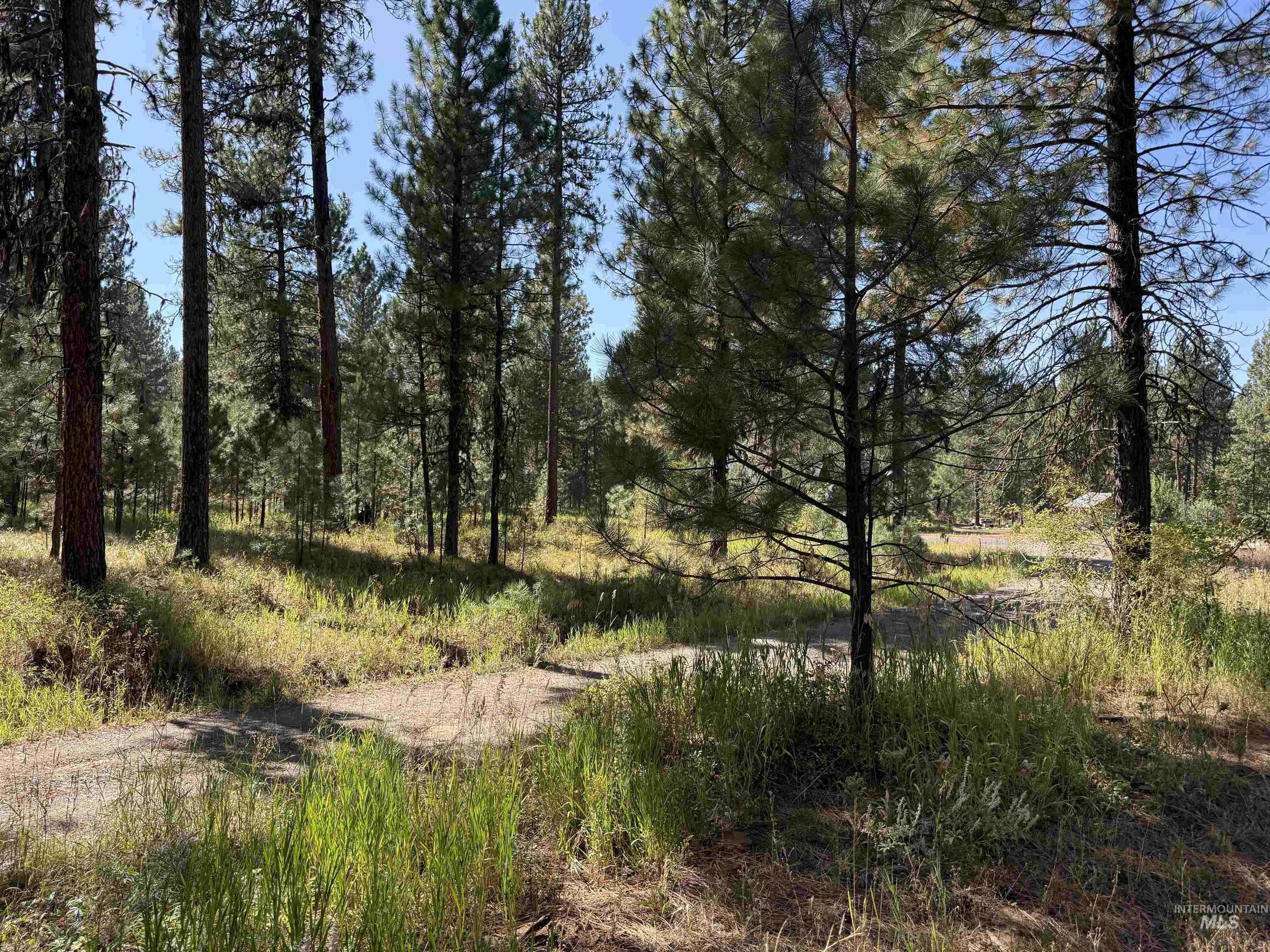 TBD Timber Ridge Drive, New Meadows, Idaho 83654, Land For Sale, Price $349,900,MLS 99000708