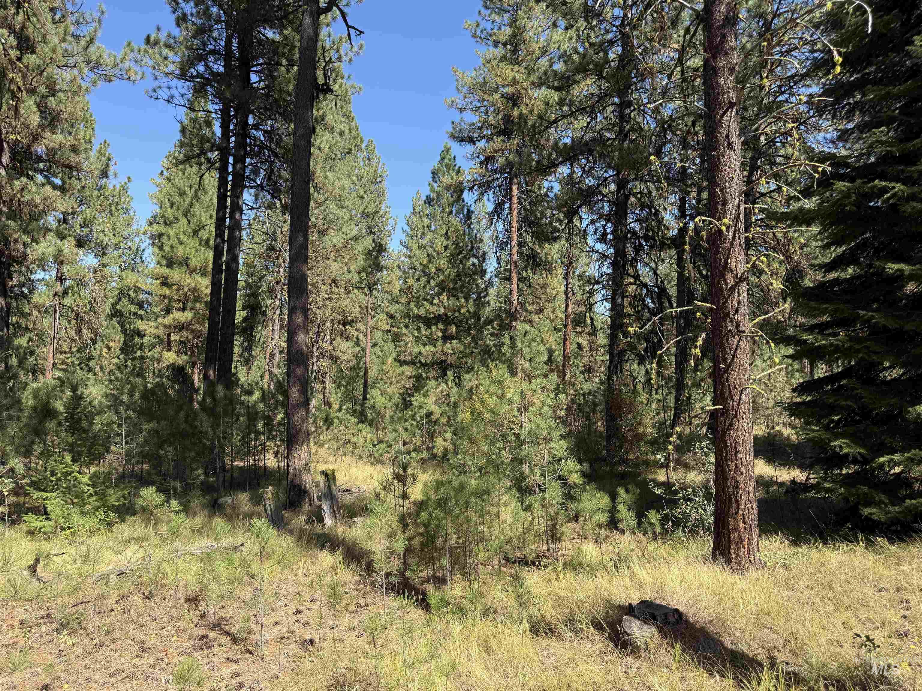 TBD Timber Ridge Drive, New Meadows, Idaho 83654, Land For Sale, Price $349,900,MLS 99000708