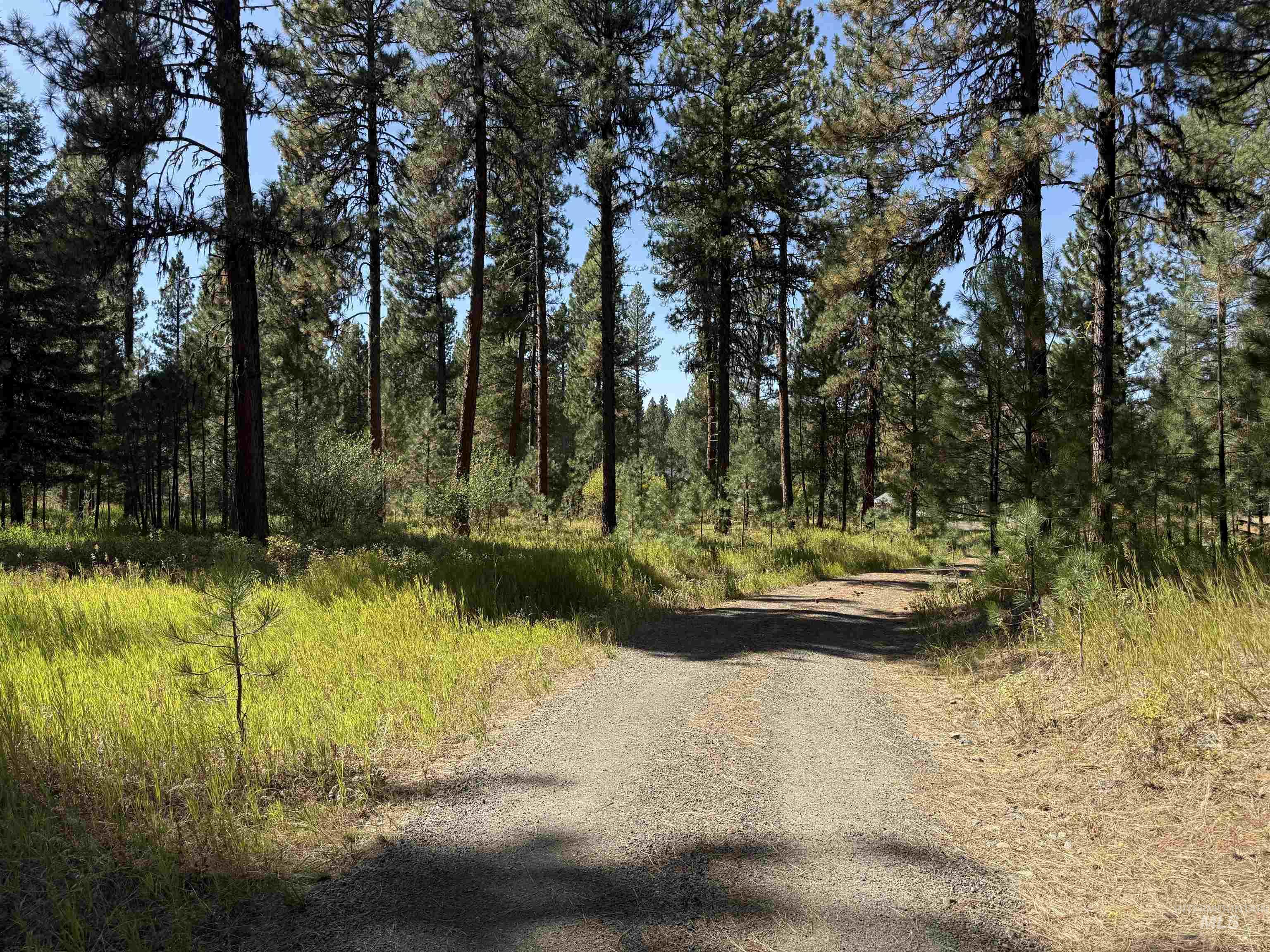 TBD Timber Ridge Drive, New Meadows, Idaho 83654, Land For Sale, Price $349,900,MLS 99000708