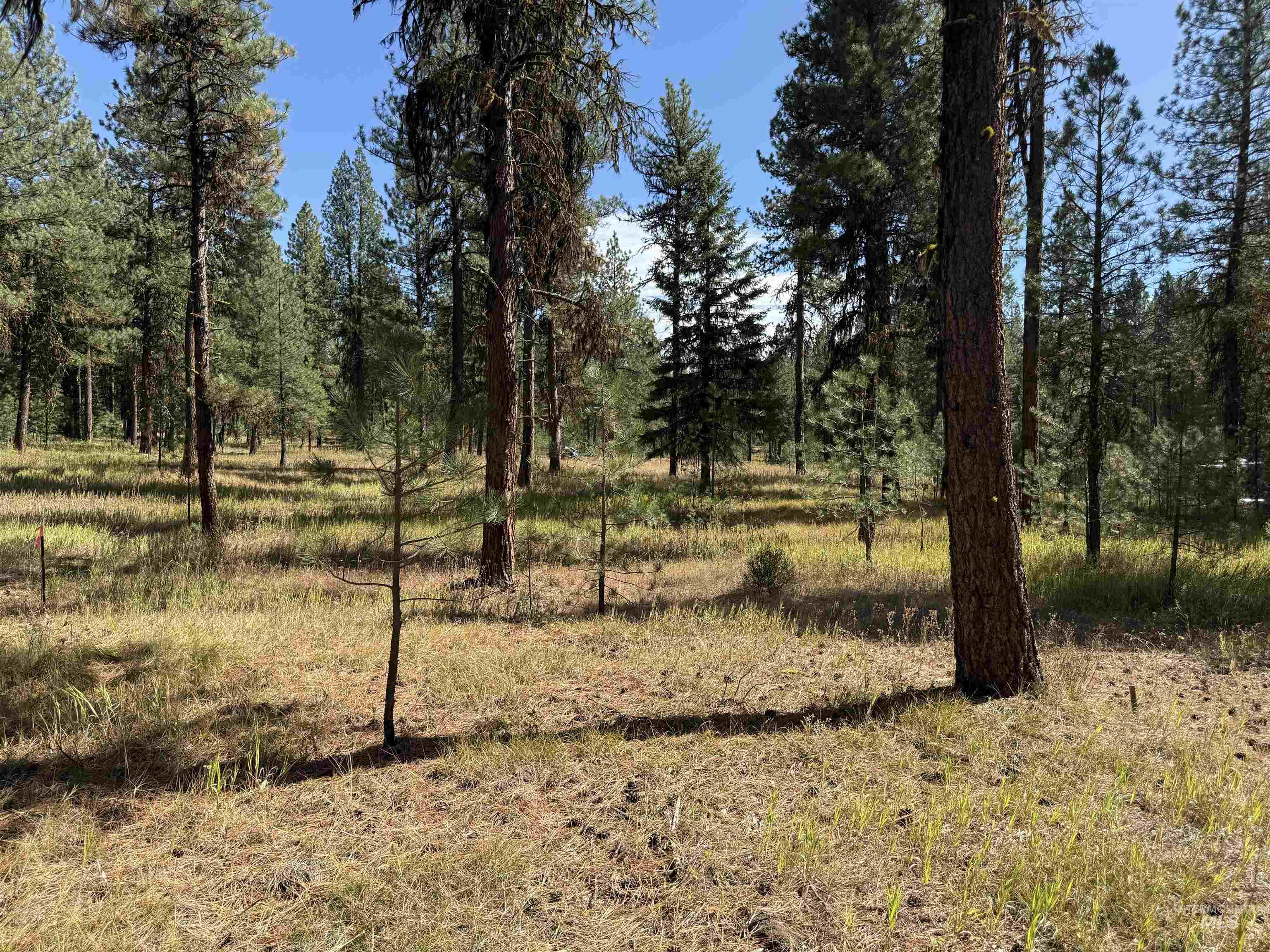 TBD Timber Ridge Drive, New Meadows, Idaho 83654, Land For Sale, Price $349,900,MLS 99000708