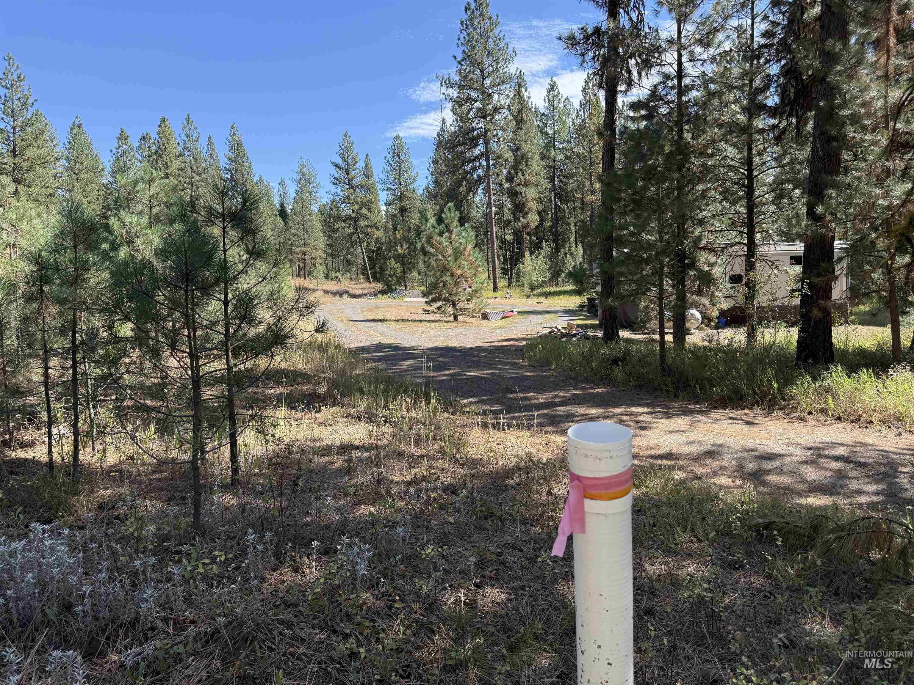 TBD Timber Ridge Drive, New Meadows, Idaho 83654, Land For Sale, Price $349,900,MLS 99000708
