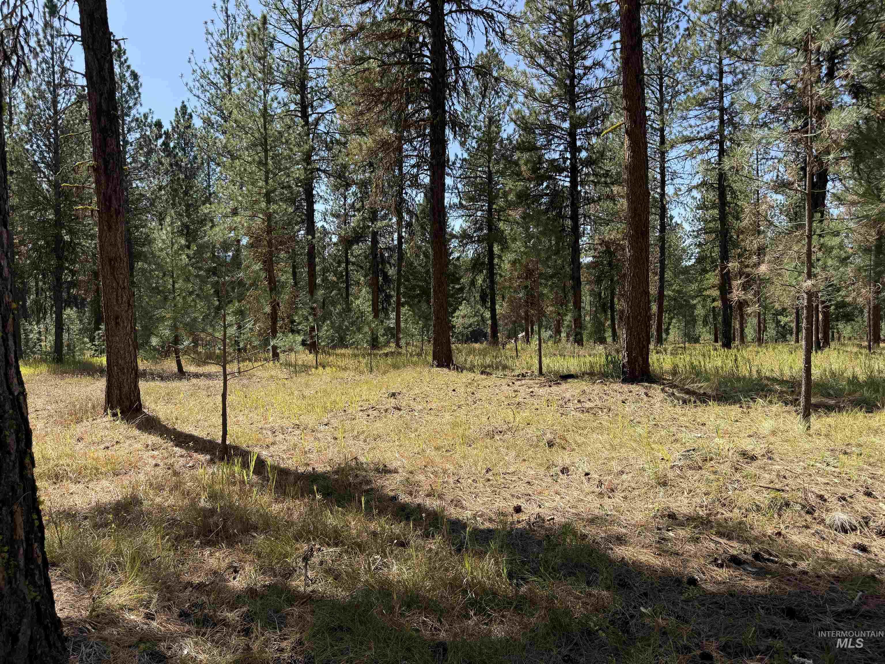 TBD Timber Ridge Drive, New Meadows, Idaho 83654, Land For Sale, Price $349,900,MLS 99000708