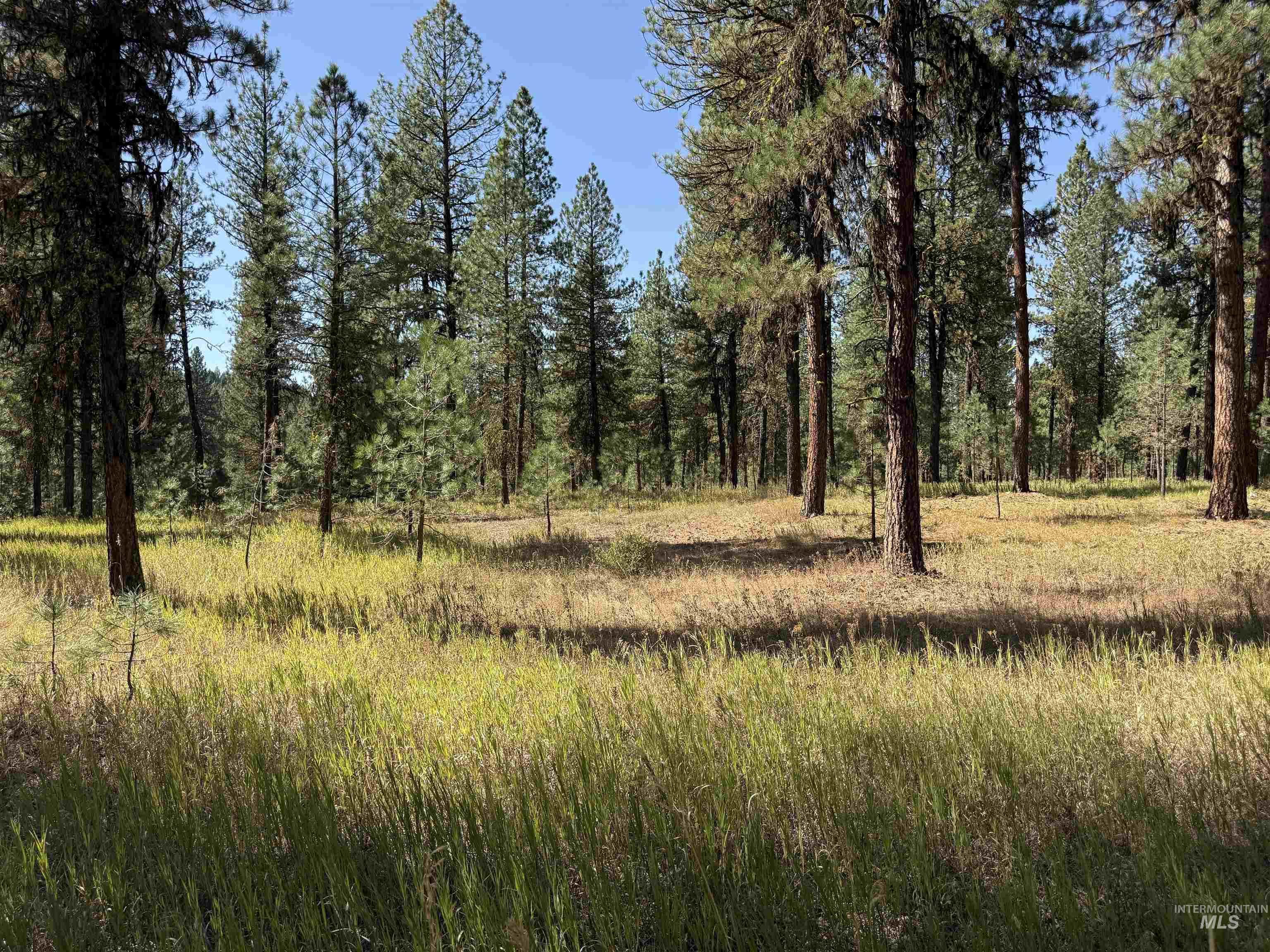 TBD Timber Ridge Drive, New Meadows, Idaho 83654, Land For Sale, Price $349,900,MLS 99000708