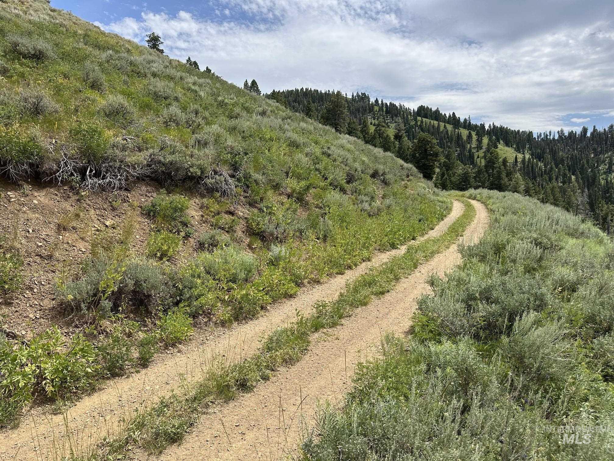 Carrie Creek Rd. Smokey Mountains, Fairfield, Idaho 83327, Land For Sale, Price $895,000, 99000720