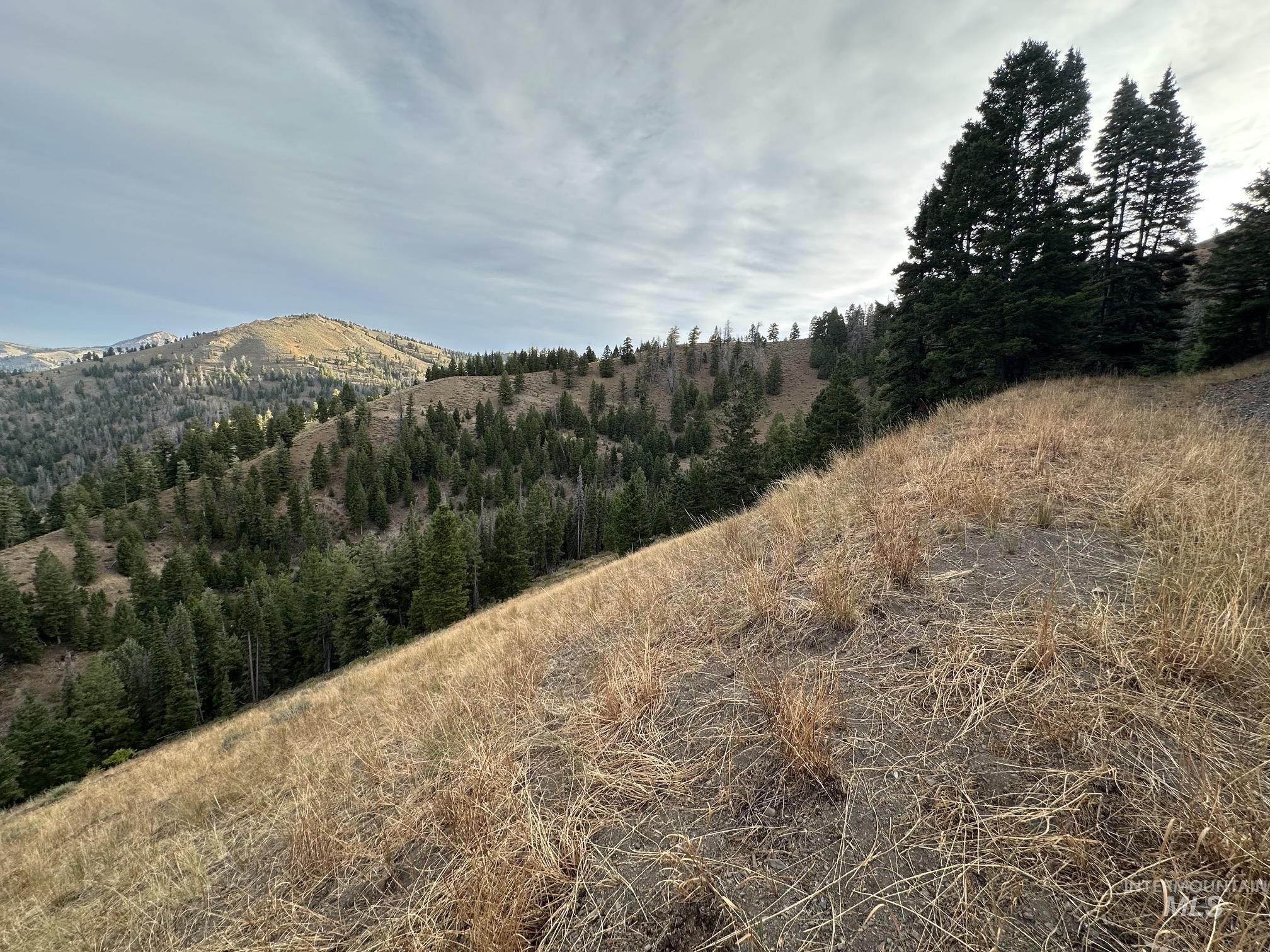 Carrie Creek Rd. Smokey Mountains, Fairfield, Idaho 83327, Land For Sale, Price $895,000, 99000720