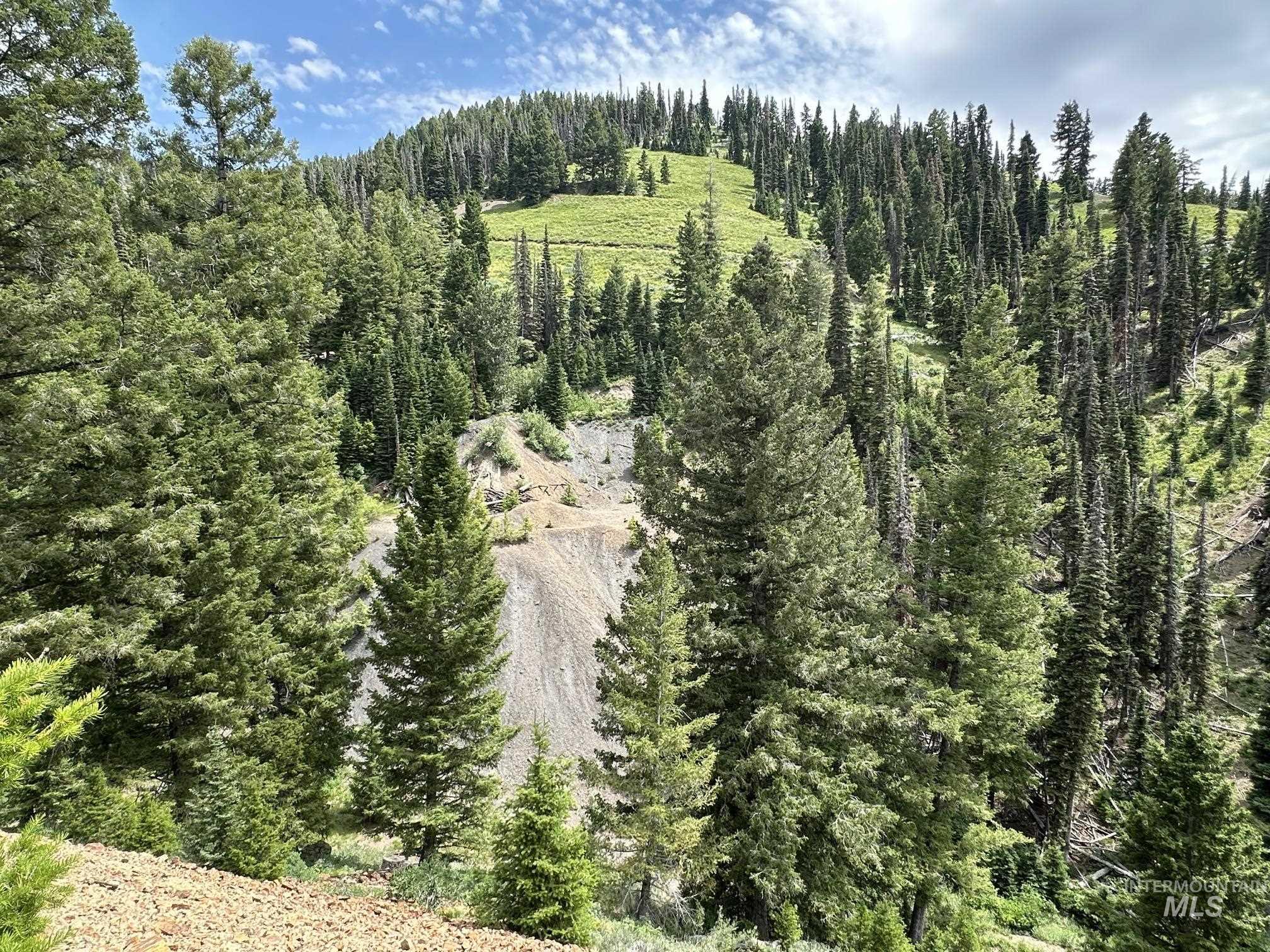 Carrie Creek Rd. Smokey Mountains, Fairfield, Idaho 83327, Land For Sale, Price $895,000, 99000720