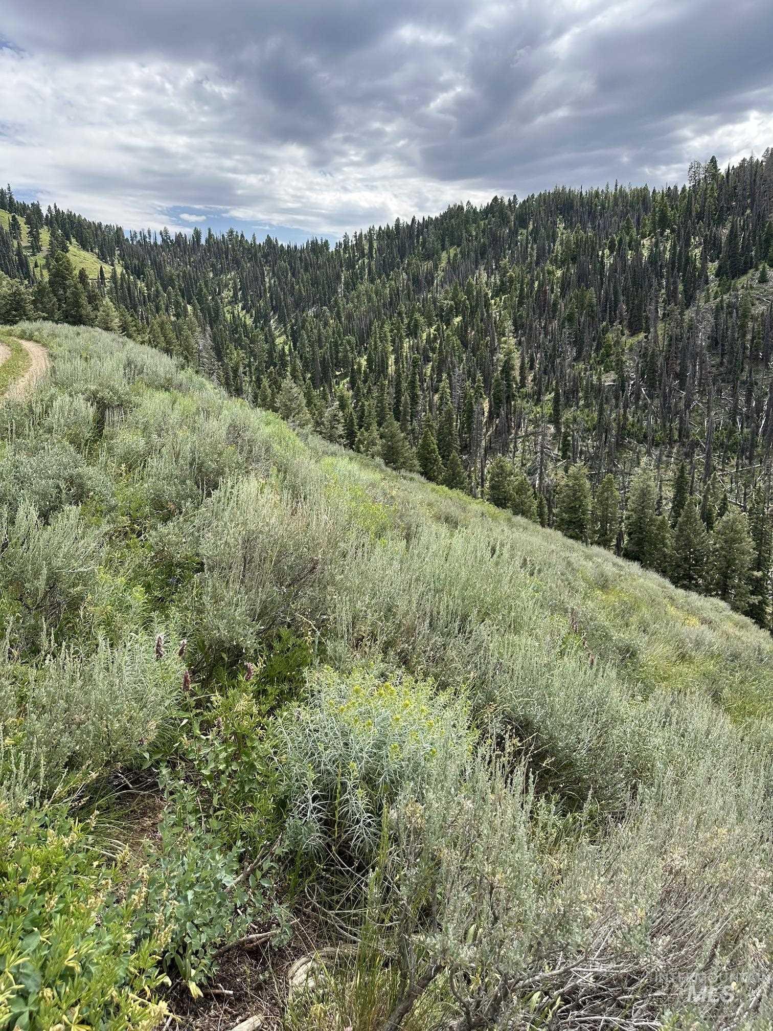 Carrie Creek Rd. Smokey Mountains, Fairfield, Idaho 83327, Land For Sale, Price $895,000, 99000720