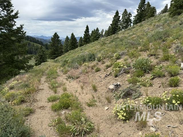 Carrie Creek Rd. Smokey Mountains, Fairfield, Idaho 83327, Land For Sale, Price $895,000, 99000720
