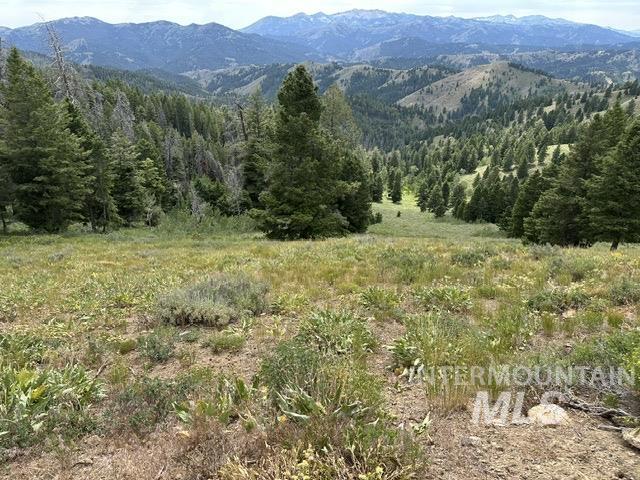 Carrie Creek Rd. Smokey Mountains, Fairfield, Idaho 83327, Land For Sale, Price $895,000, 99000720