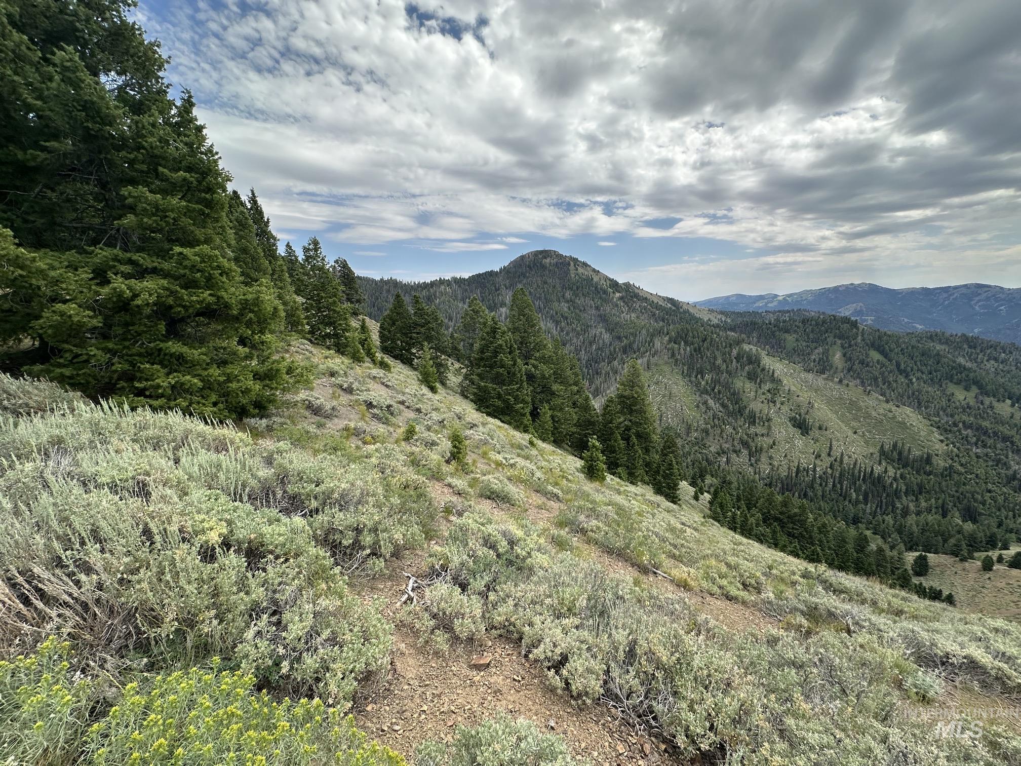 Carrie Creek Rd. Smokey Mountains, Fairfield, Idaho 83327, Land For Sale, Price $895,000, 99000720