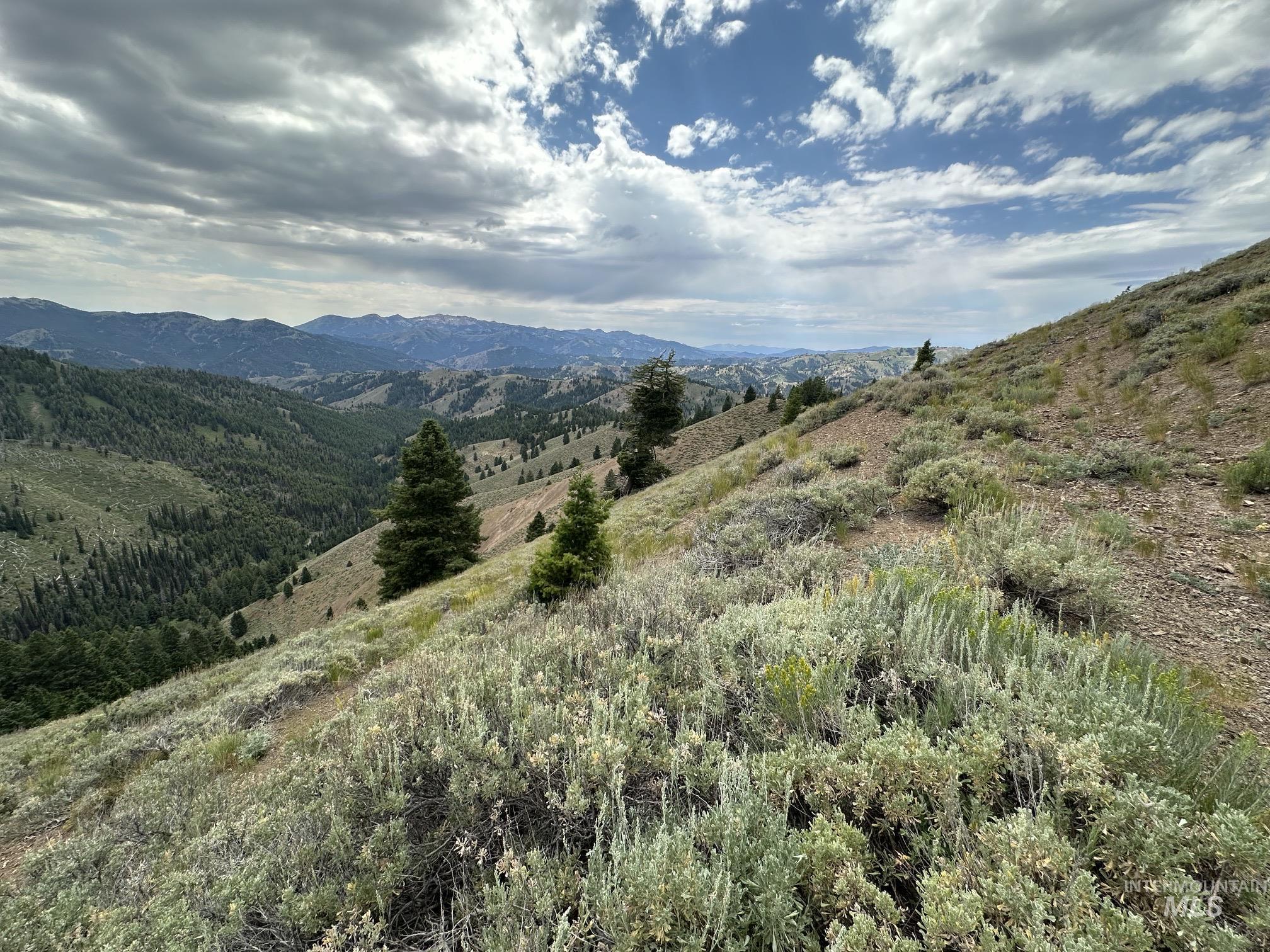 Carrie Creek Rd. Smokey Mountains, Fairfield, Idaho 83327, Land For Sale, Price $895,000, 99000720
