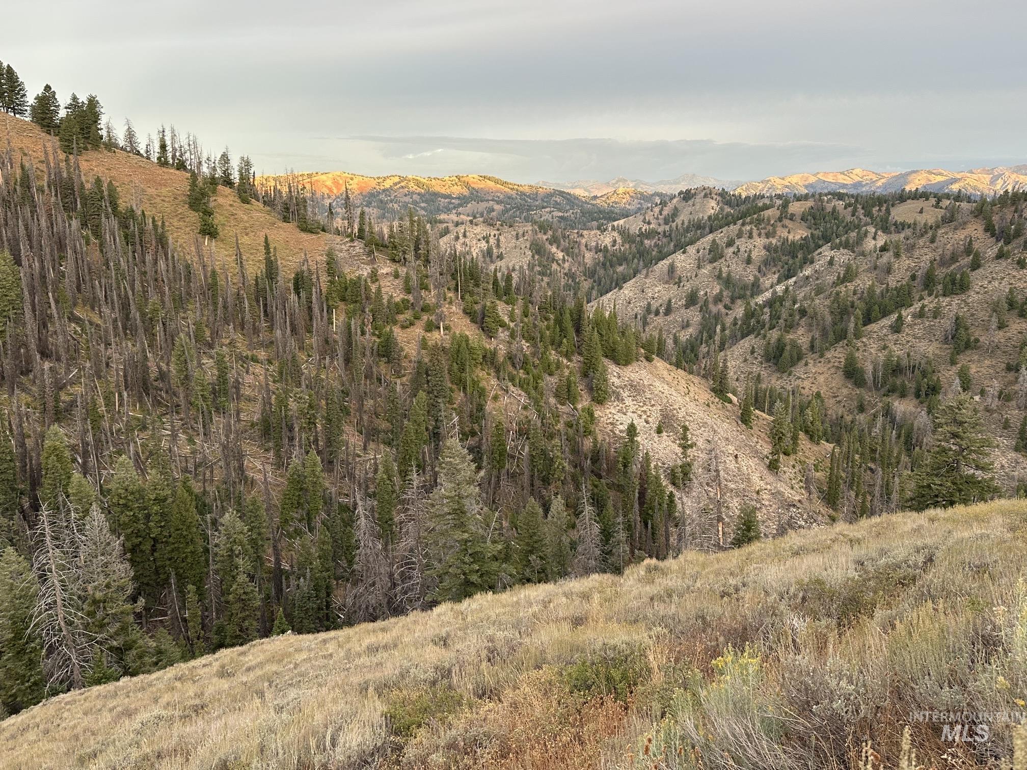 Carrie Creek Rd. Smokey Mountains, Fairfield, Idaho 83327, Land For Sale, Price $895,000, 99000720