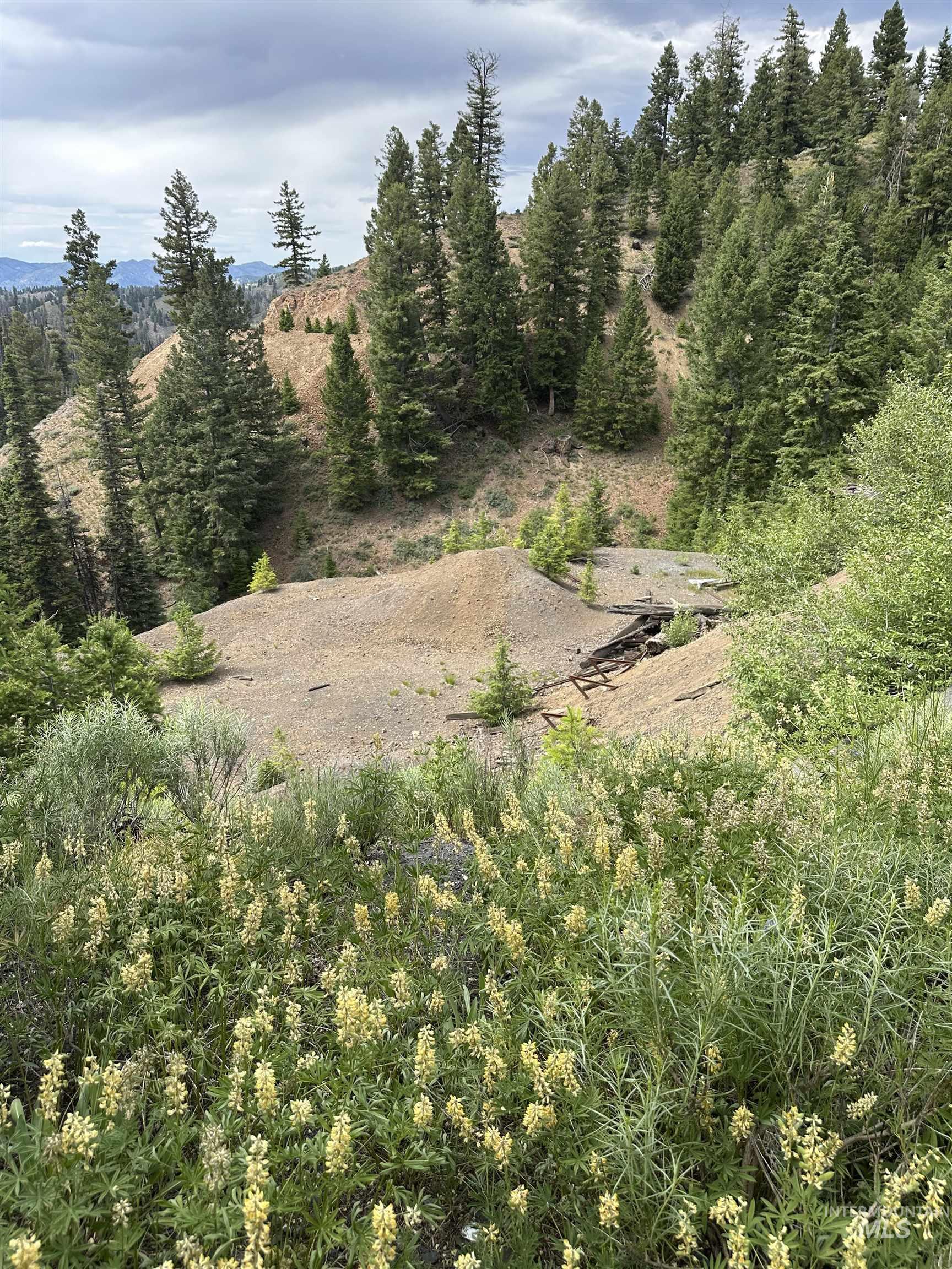Carrie Creek Rd. Smokey Mountains, Fairfield, Idaho 83327, Land For Sale, Price $895,000, 99000720
