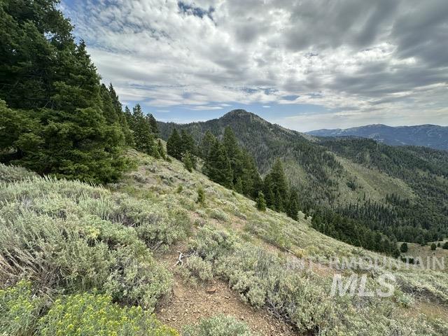 Carrie Creek Rd. Smokey Mountains, Fairfield, Idaho 83327, Land For Sale, Price $895,000, 99000720