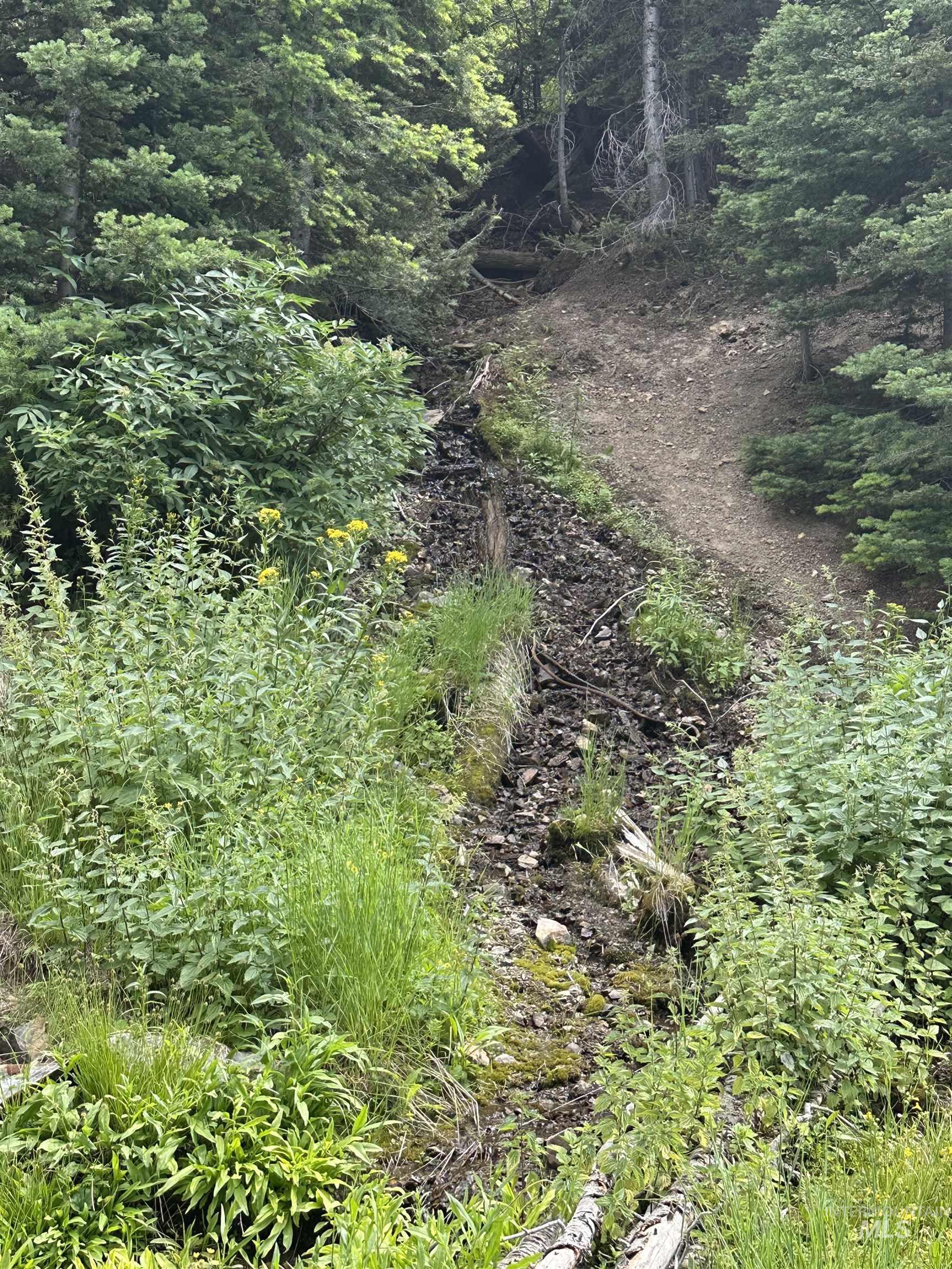 Carrie Creek Rd. Smokey Mountains, Fairfield, Idaho 83327, Land For Sale, Price $895,000, 99000720