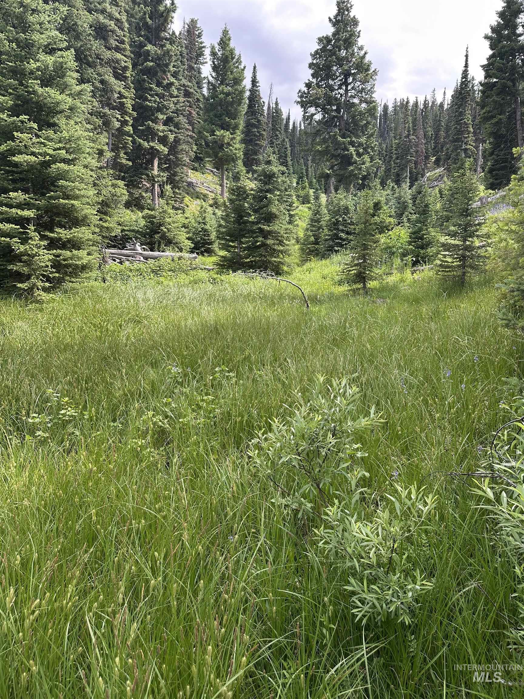 Carrie Creek Rd. Smokey Mountains, Fairfield, Idaho 83327, Land For Sale, Price $895,000, 99000720