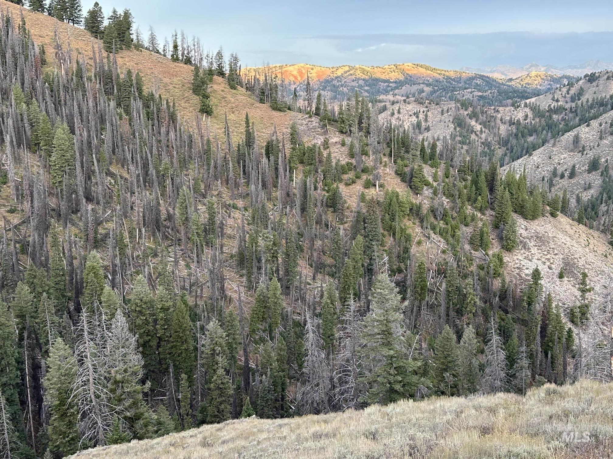 Carrie Creek Rd. Smokey Mountains, Fairfield, Idaho 83327, Land For Sale, Price $895,000, 99000720
