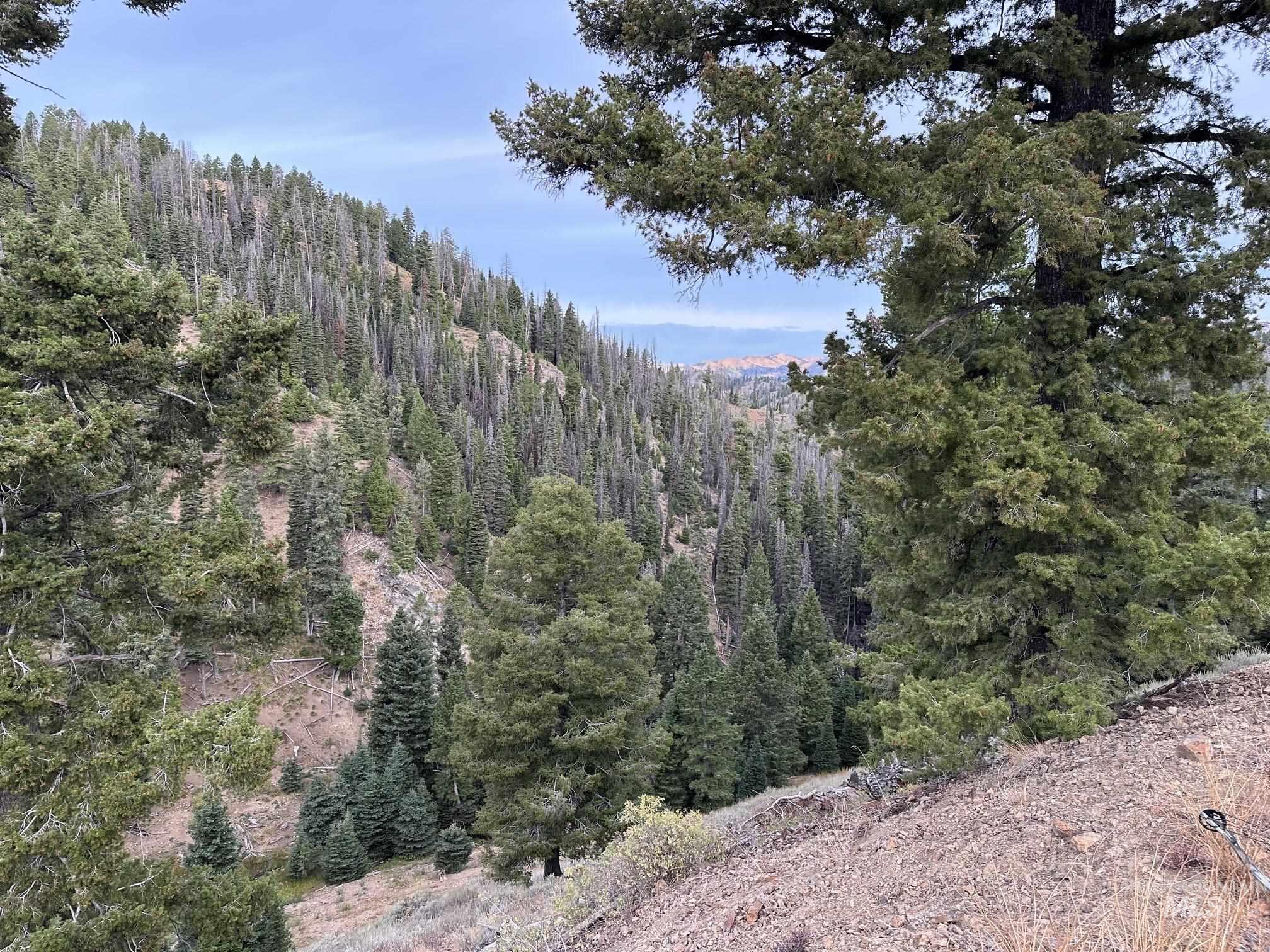 Carrie Creek Rd. Smokey Mountains, Fairfield, Idaho 83327, Land For Sale, Price $895,000, 99000720